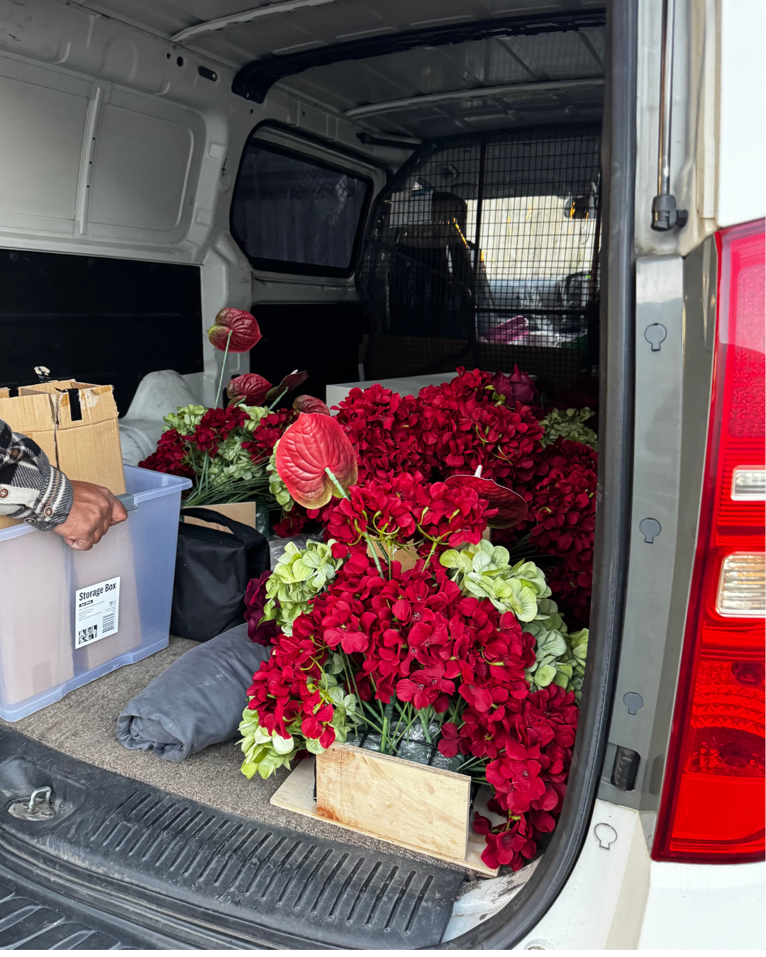 Red and green floral arrangements featuring anthuriums and hydrangeas being transported for an event.