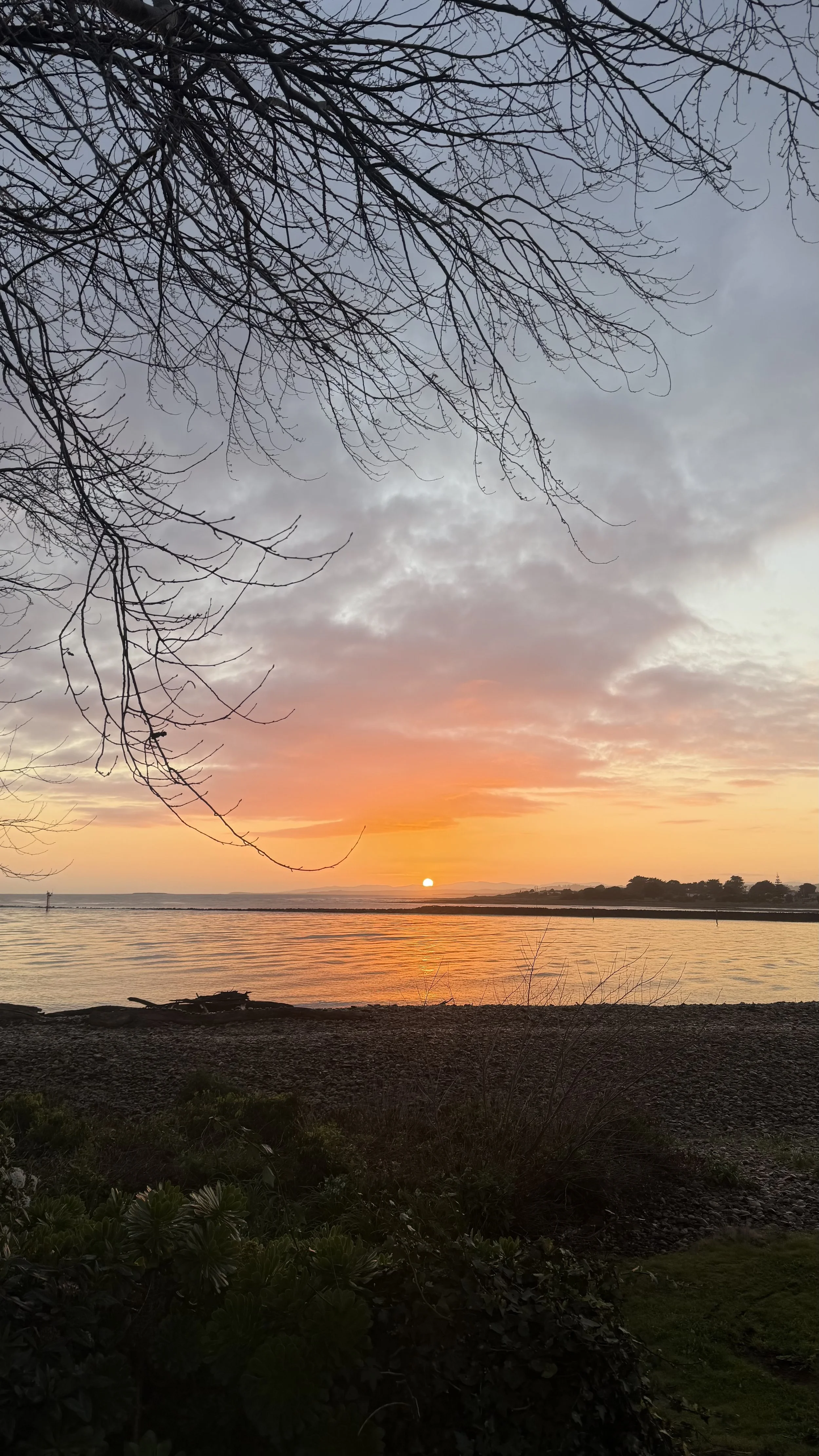 A sunset over a body of water with a partially cloudy sky. Bare trees are visible in the foreground and the distant shoreline shows some hills.