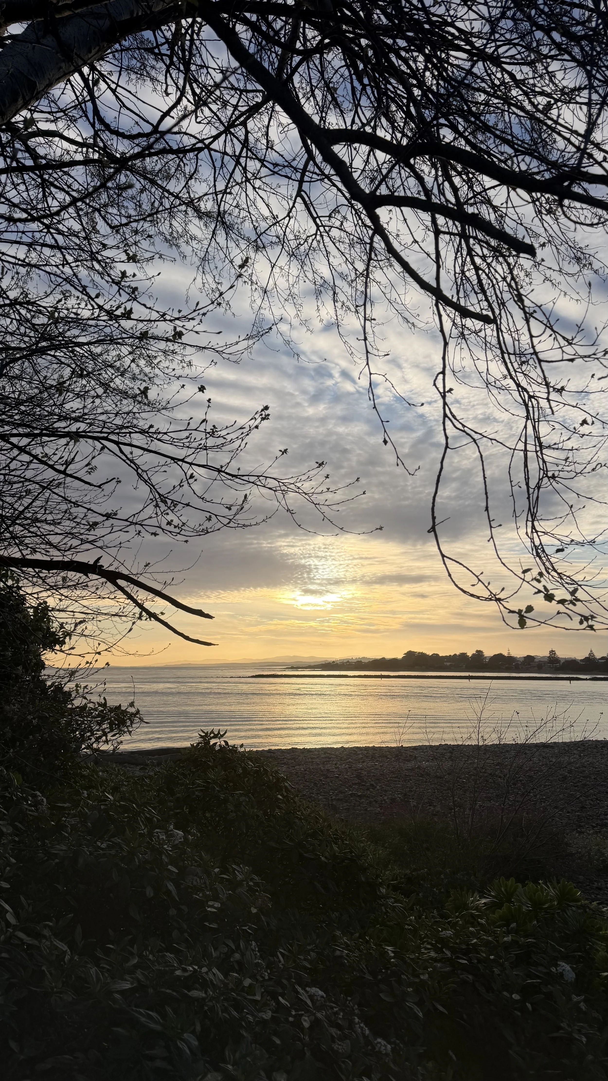 View of a sunset over a body of water, framed by bare tree branches in the foreground, with some clouds in the sky.
