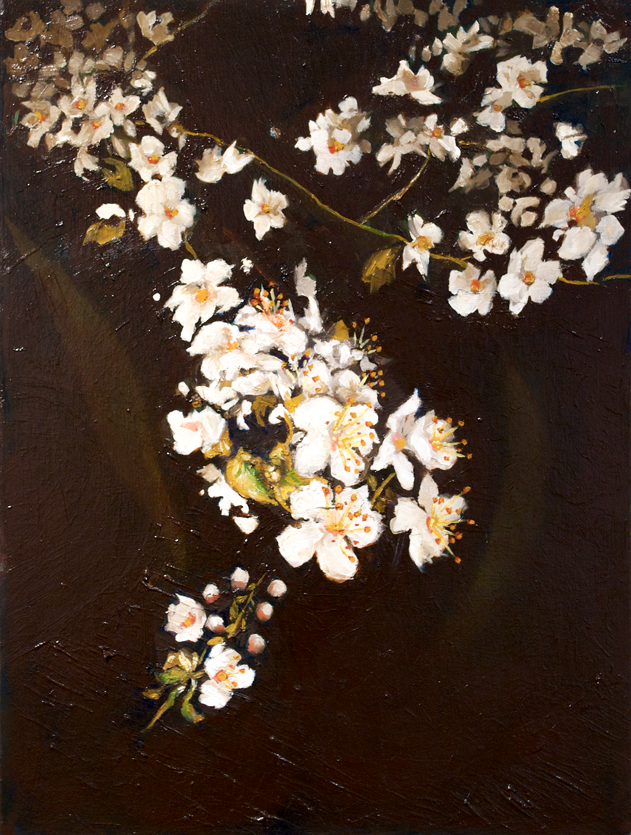 "Magnolias" "Gloaming" Oil on canvas. 16" x 20". 2025