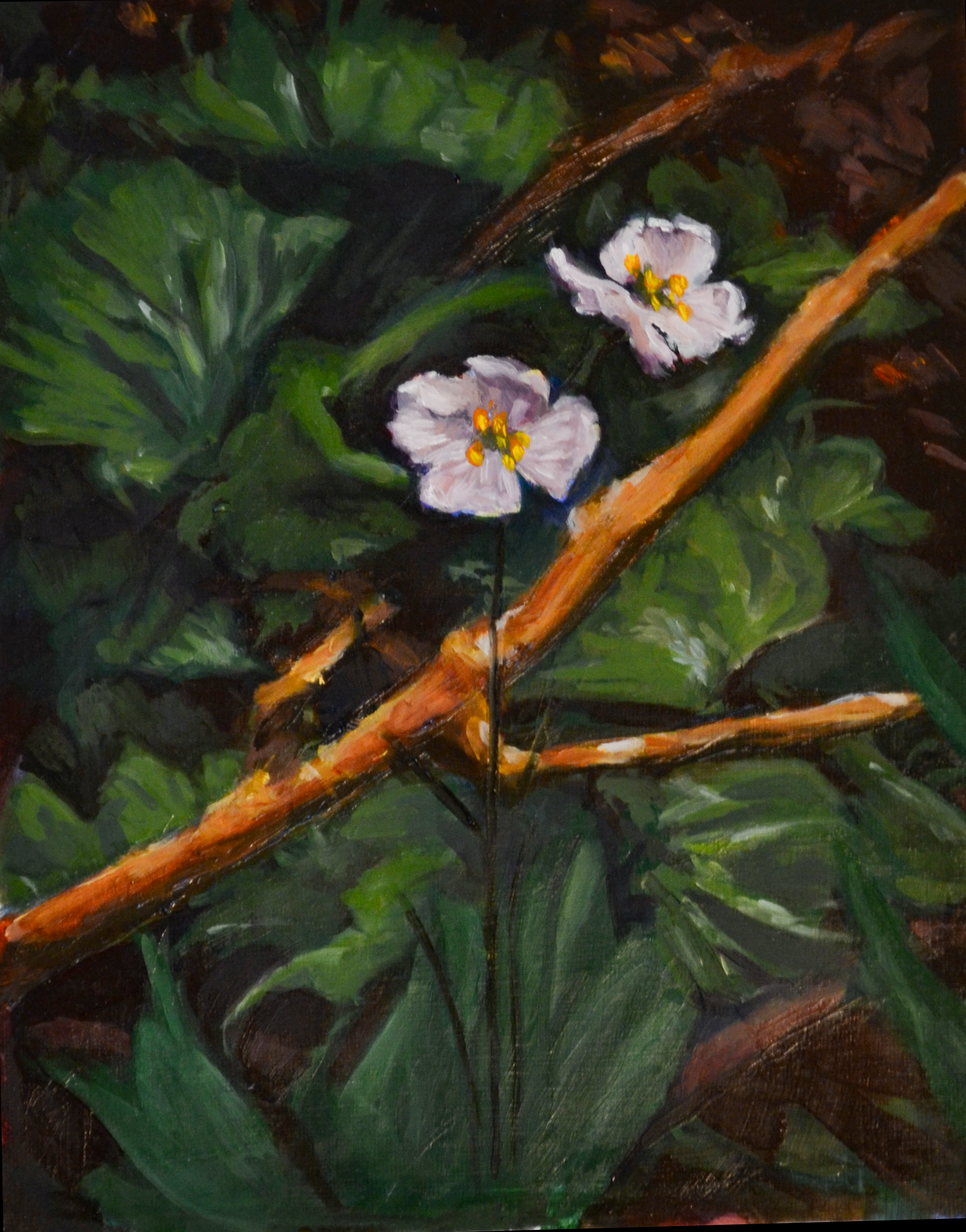 "Tenacious" 8" x 10". Oil on panel. 2026.