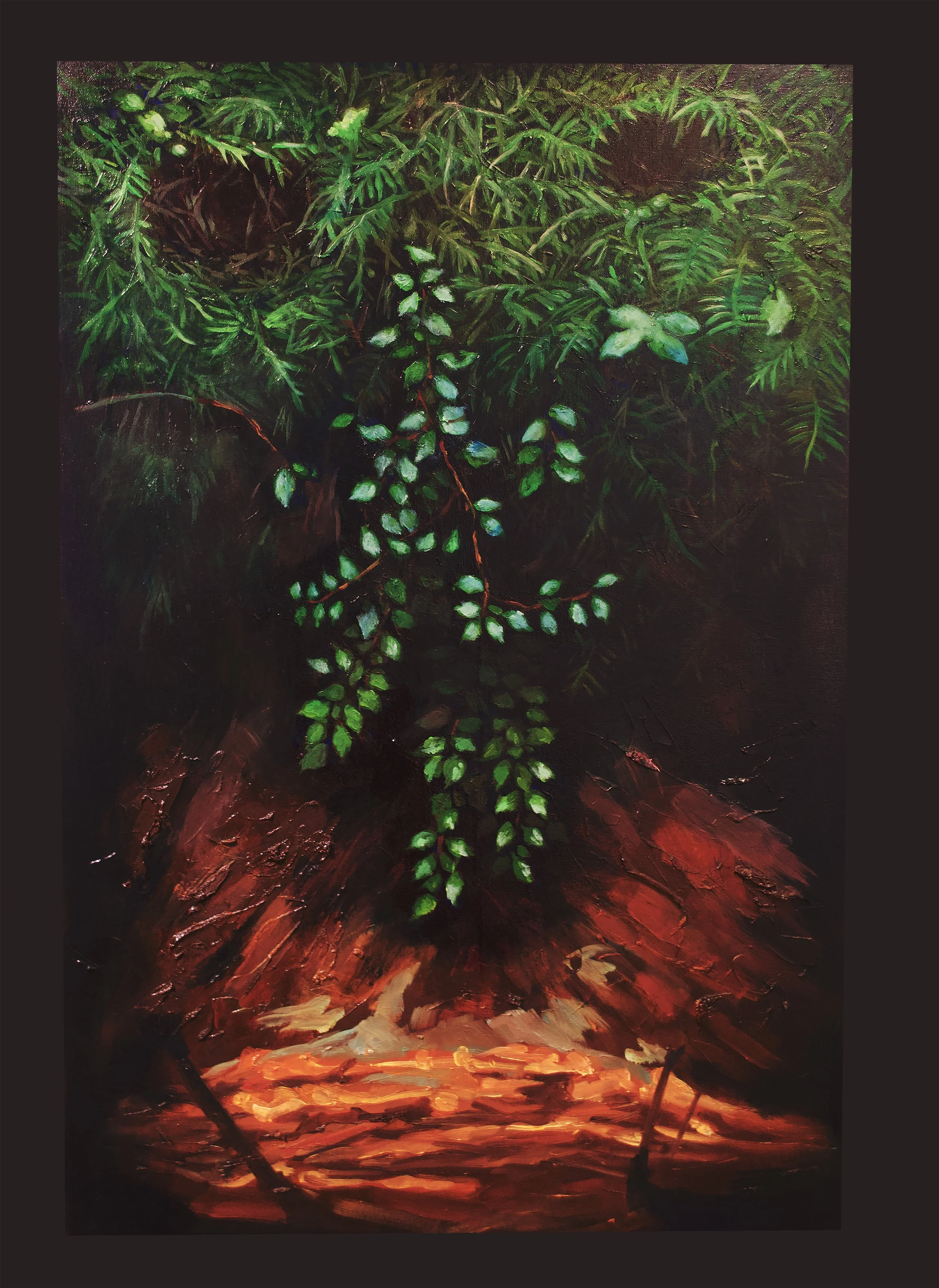 "Cedar Bush"  36" x 24". Oil on canvas. 2024.