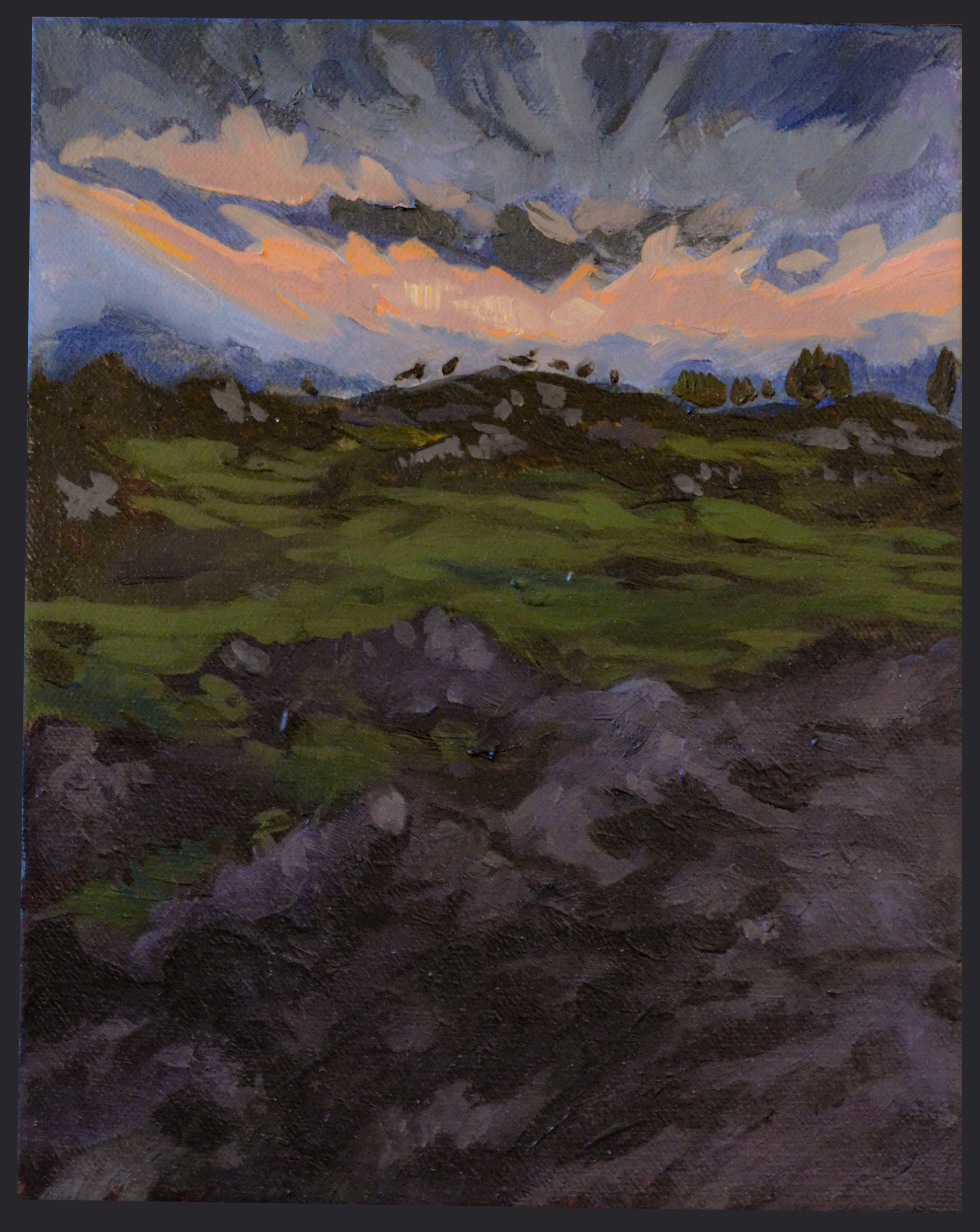 "Carrion Fields", Oil on Canvas. 11" x 14". 2026.