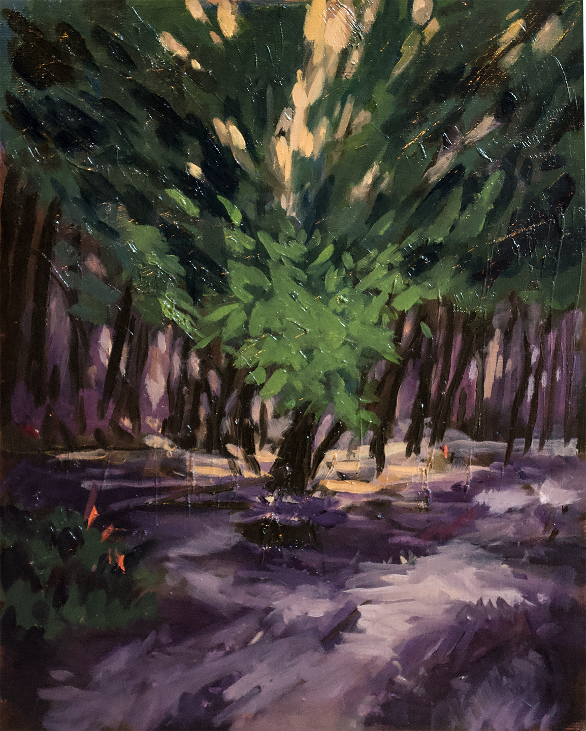 "Fire from the Sky", Oil on panel. 8" x 10". 2026