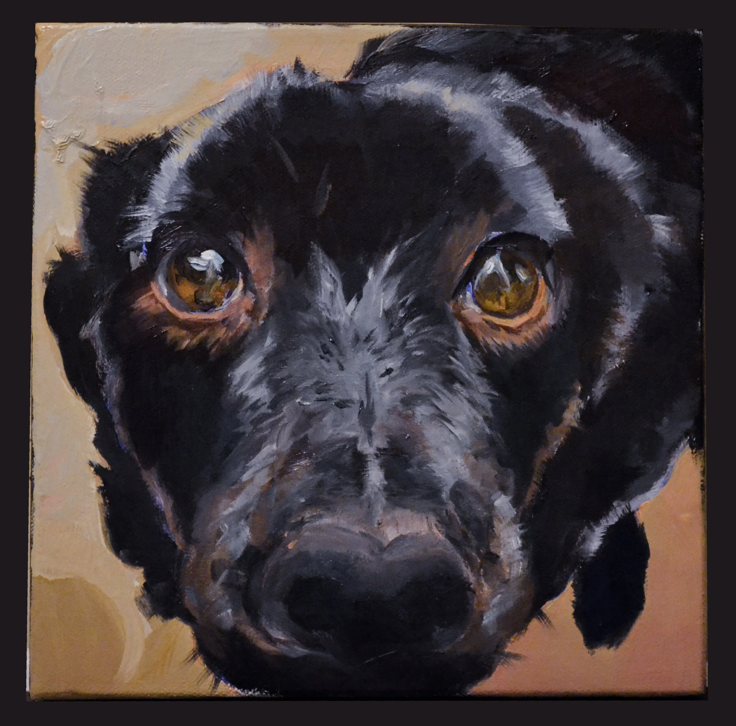 "Jack (Doggo)" Oil on canvas. 8" x 8". 2025.