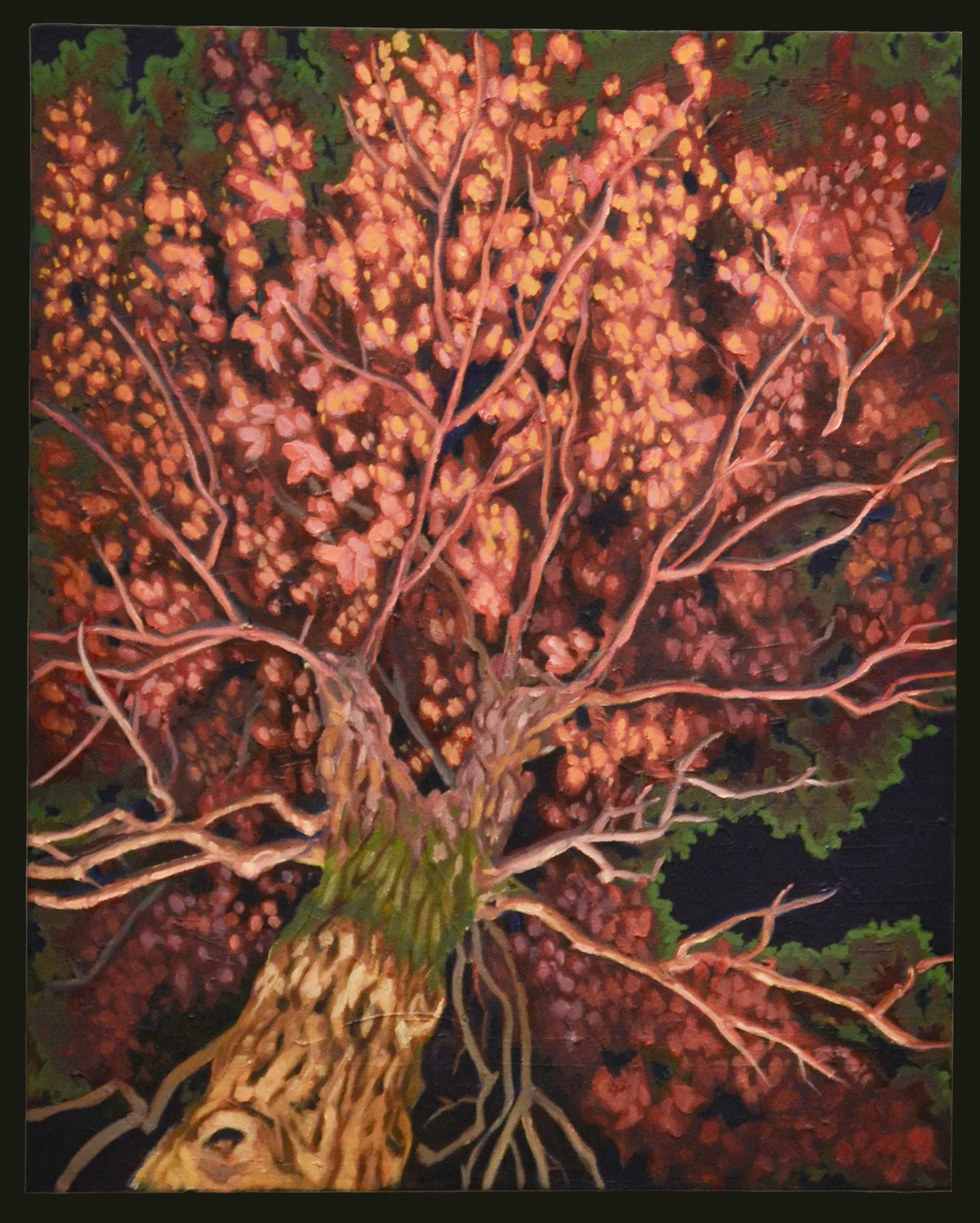 "Red Maple" Oil on canvas. 30" x 30". 2025.
