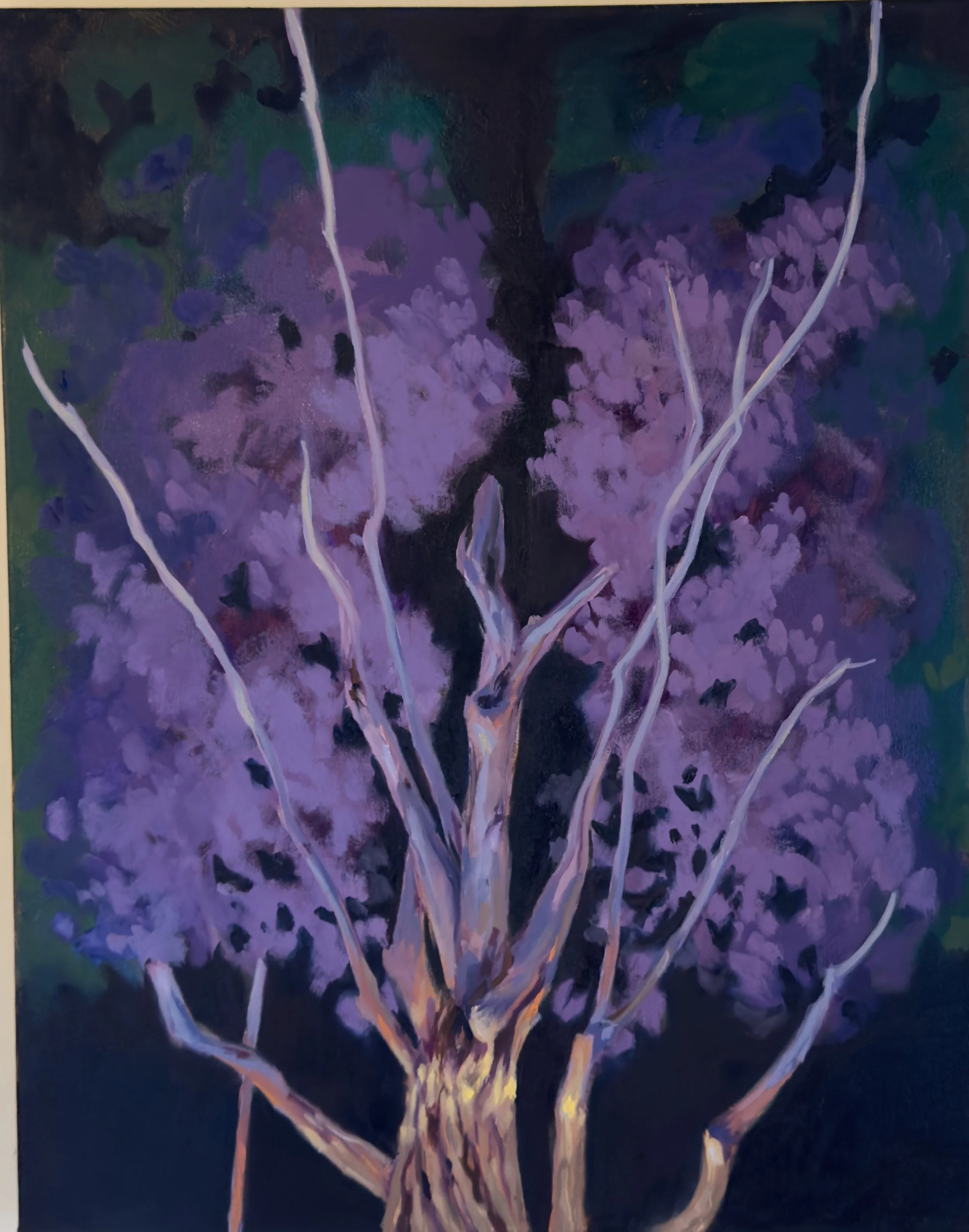 "Violet Maple" Oil on Canvas. 20" x 30". 2026