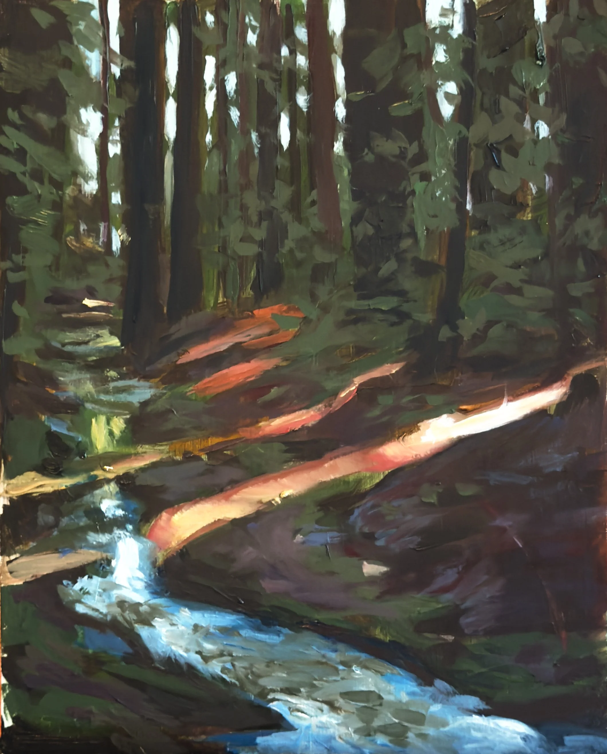 "Last Light 2" Oil on panel. 8" x 10". 2026