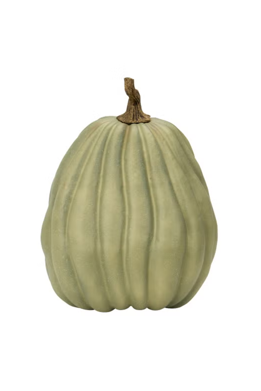 A pale green pumpkin with vertical ridges and a brown stem.