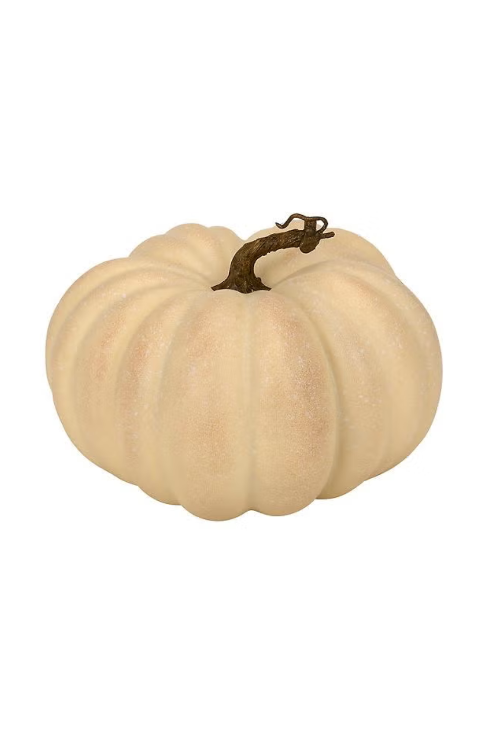 A pale-colored pumpkin with a dark brown stem, isolated on a white background.