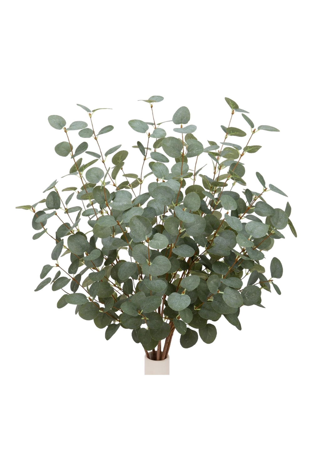 A bunch of eucalyptus leaves in a vase.