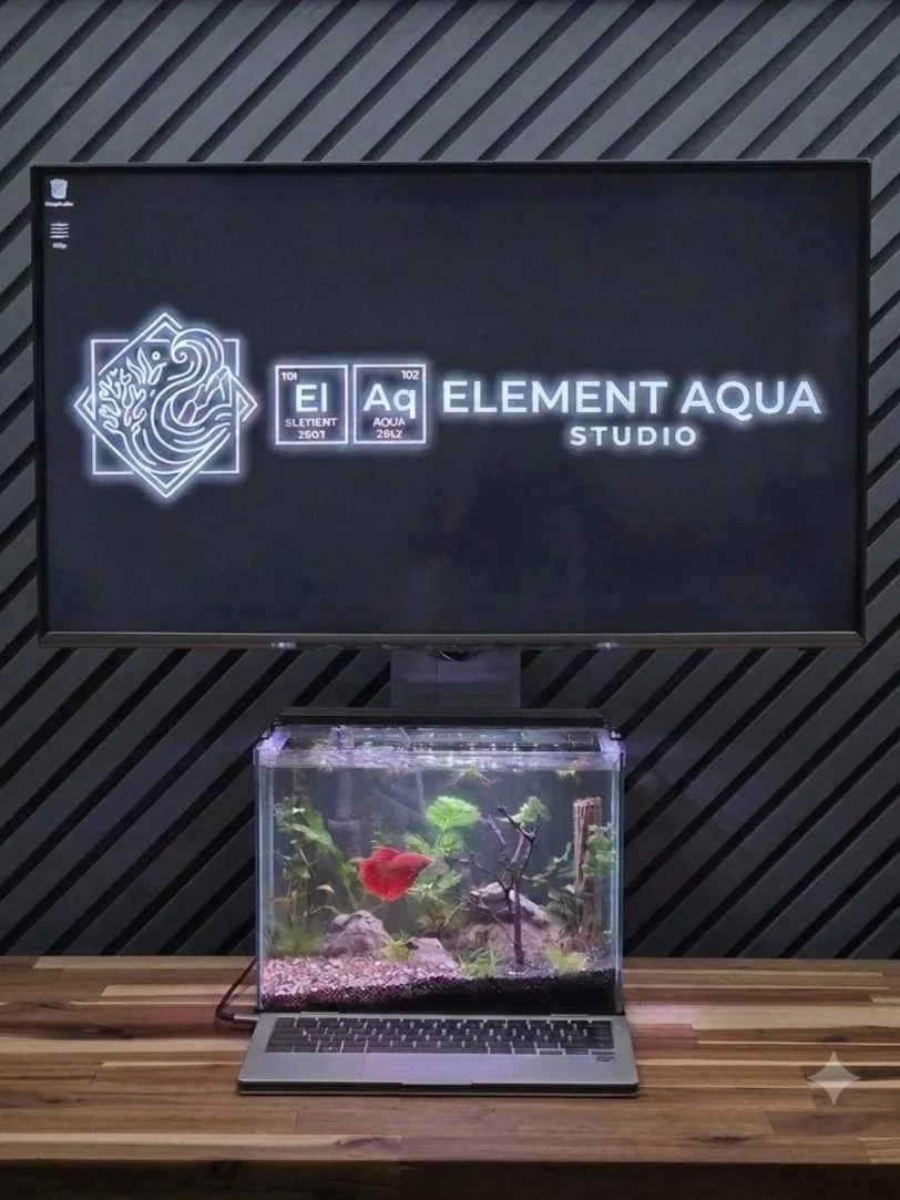 The logo for 'Element Aqua Studio' on a computer with chemical symbols for the signature aquatic elements; below it, a small glass nano-aquarium with aquatic plants and a red betta is placed on a wooden desktop.