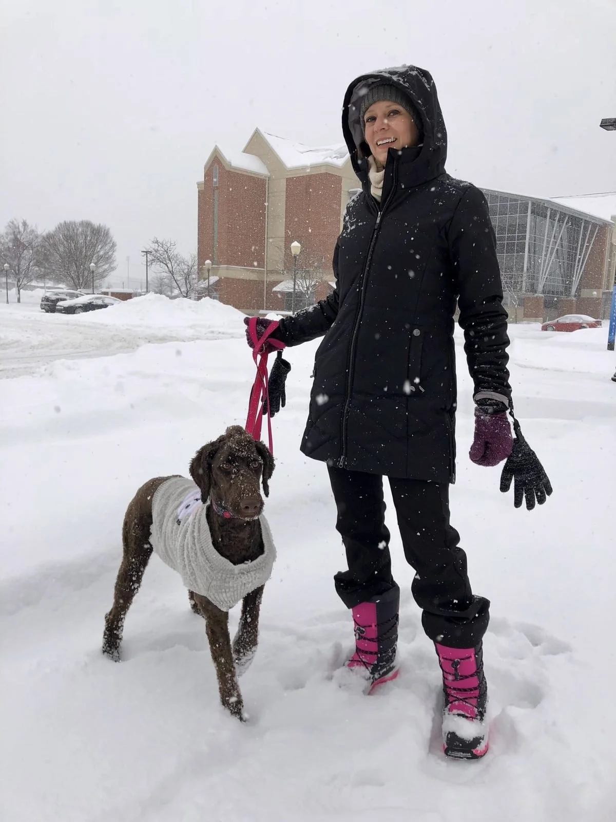 South Bend Dog Parks