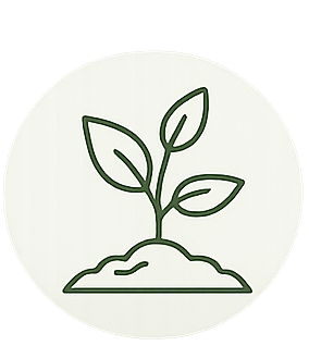 Line drawing of a sprouting plant with three leaves emerging from a small mound of soil.