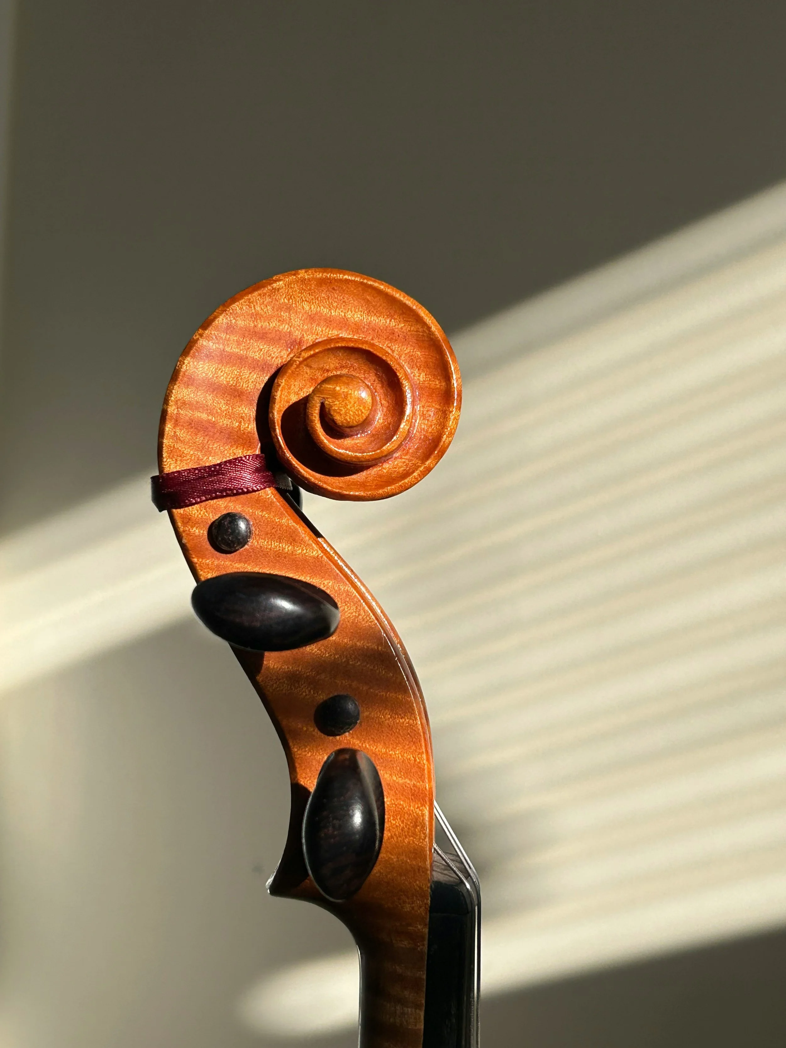 Close-up of a violin scroll in warm natural light, representing solo violin music for intimate live listening experiences.