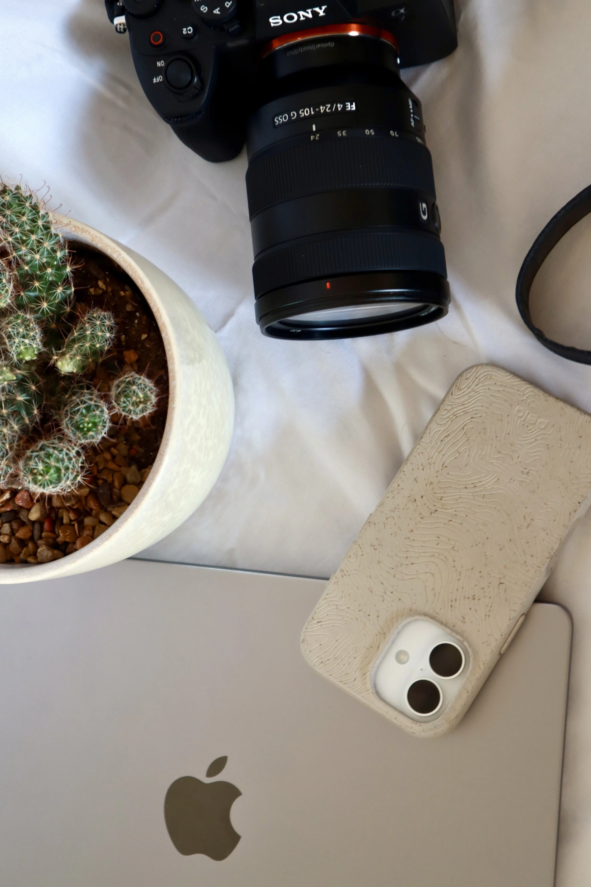 Close-up of a Sony camera with a large lens, placed on a white surface next to a potted cactus, a beige patterned object, and an Apple MacBook with an Apple logo.
