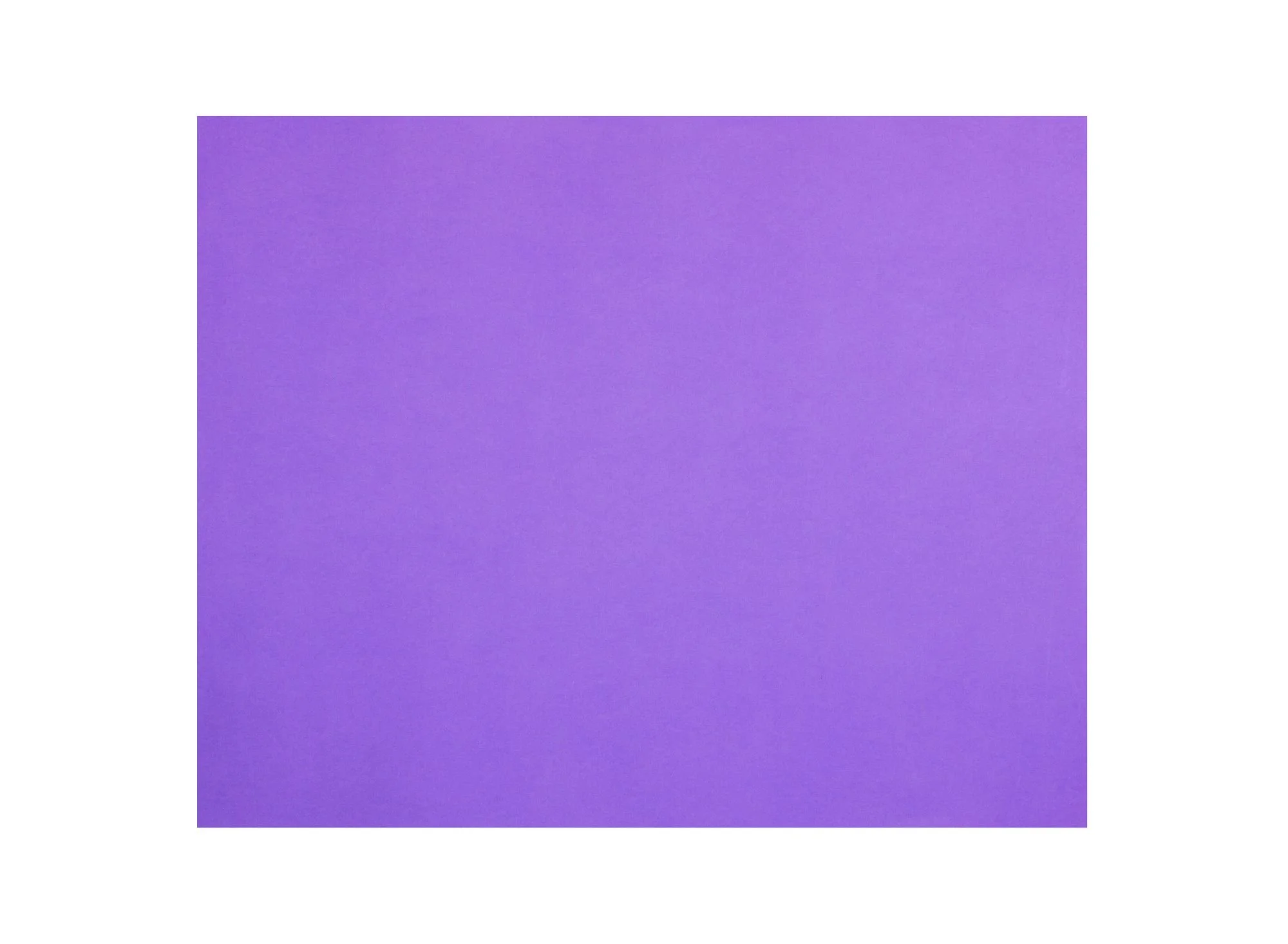 Lilac.jpg