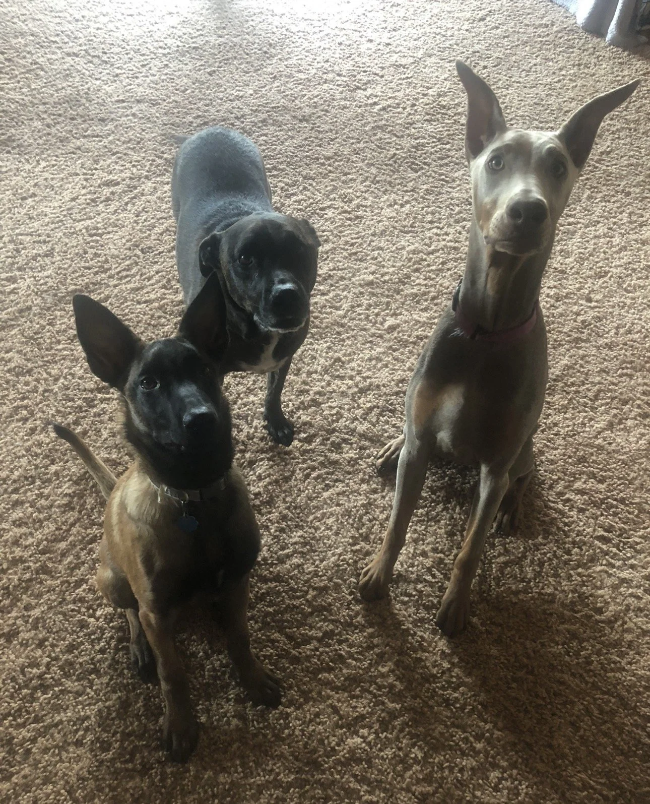 IMG_6277.jpeg