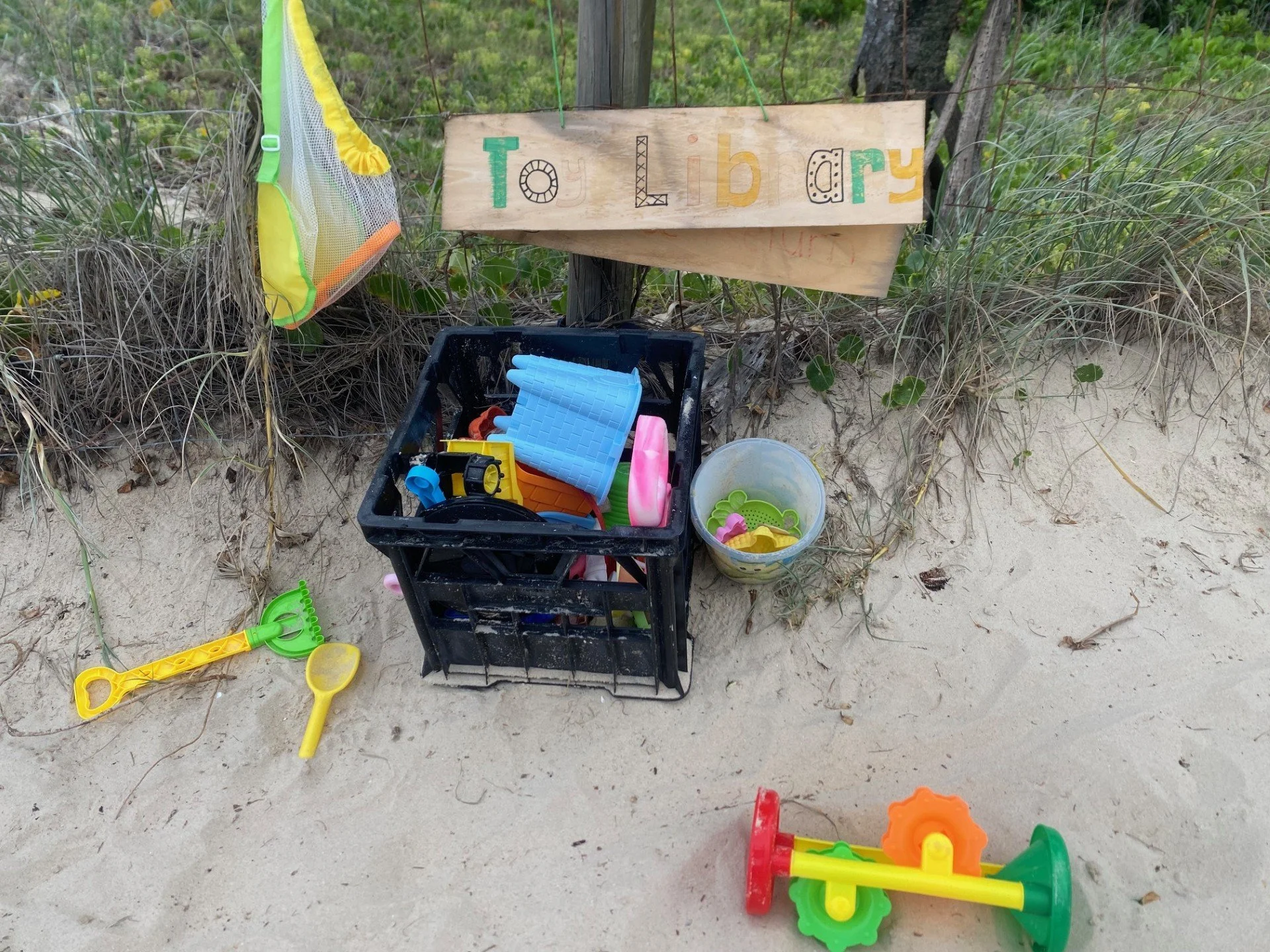 🌊 The Quiet Power of Community: A Toy Library by the Sea