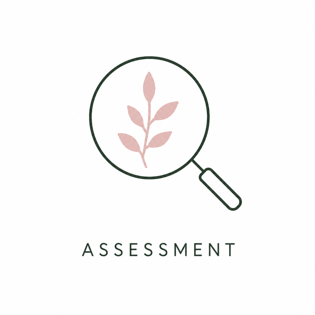 A minimalist illustration of a magnifying glass with a plant inside, and the word 'Assessment' below.