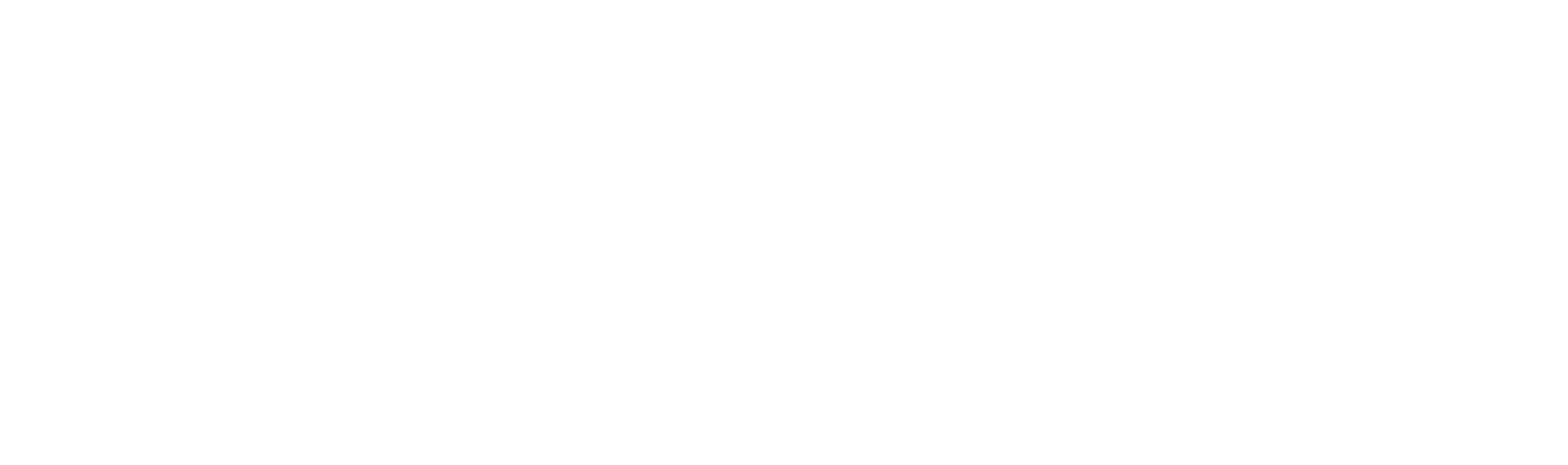 Challenger Brands