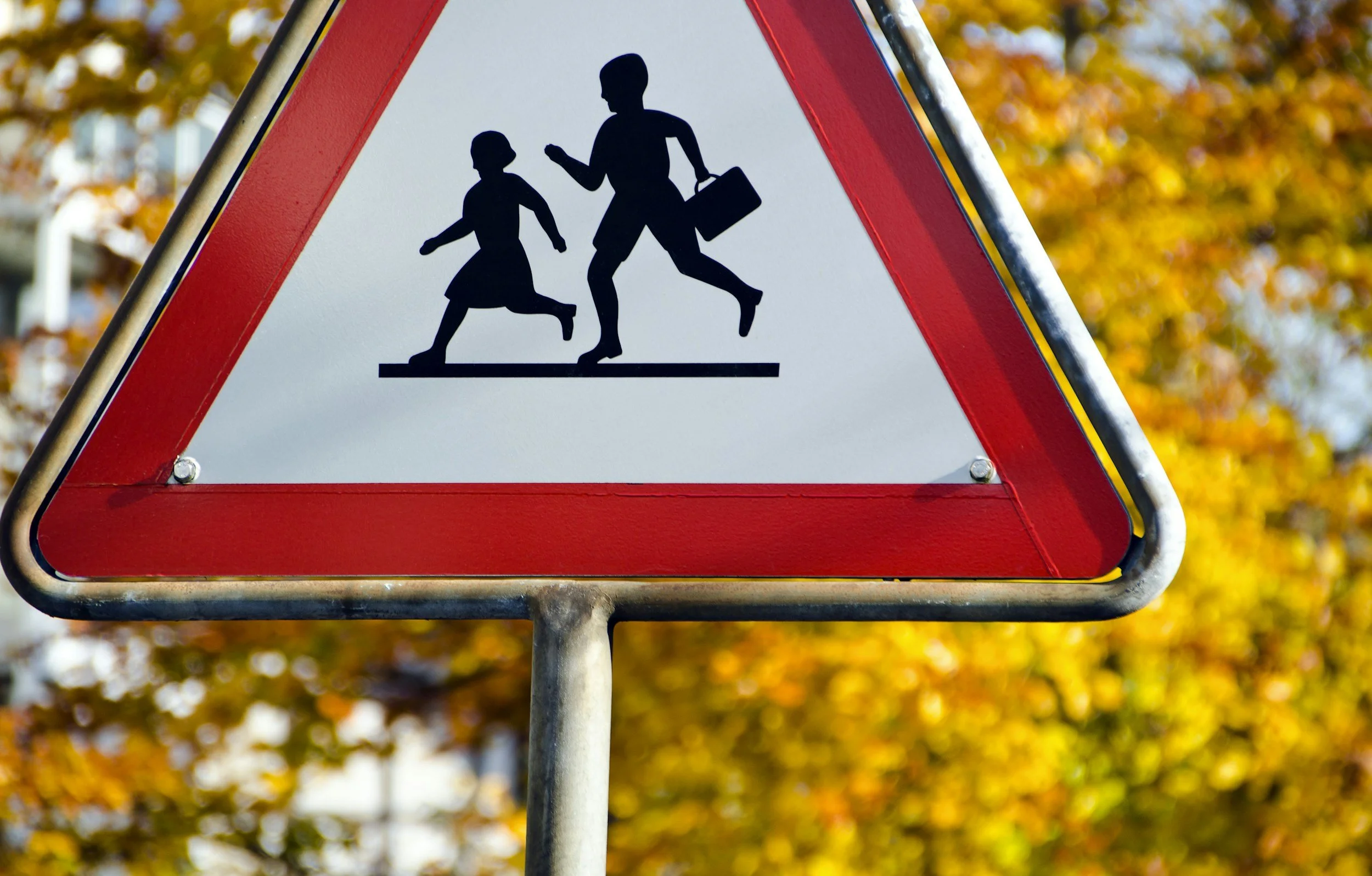 Health &amp; Safety Lead