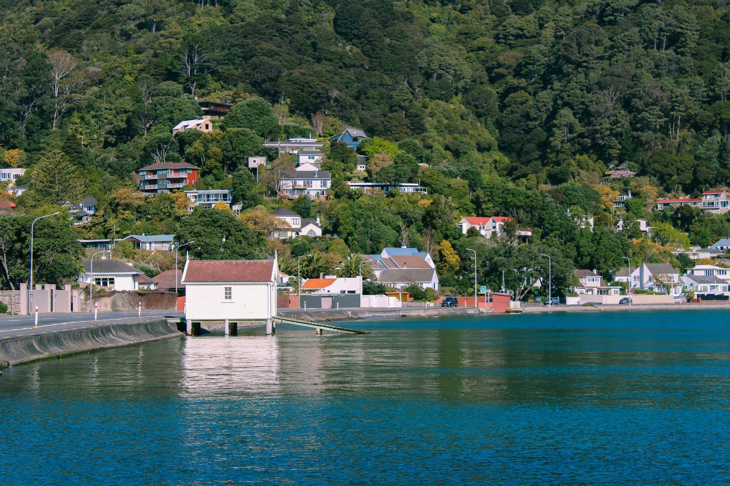Houses built on a hillside covered with dense green trees, seen from the waterside with a small pier in the foreground.