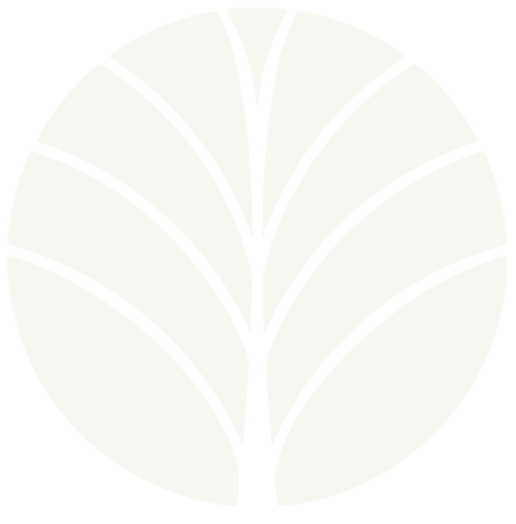 Root and Rise Studio