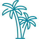 Two stylized palm trees with curved trunks and fronds.
