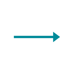Black arrow pointing to the right with the word 'Next' written beside it.