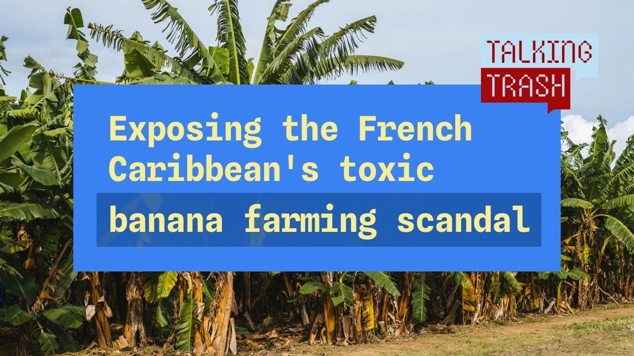 Ep. 004: Exposing the French Caribbean's toxic banana farming scandal