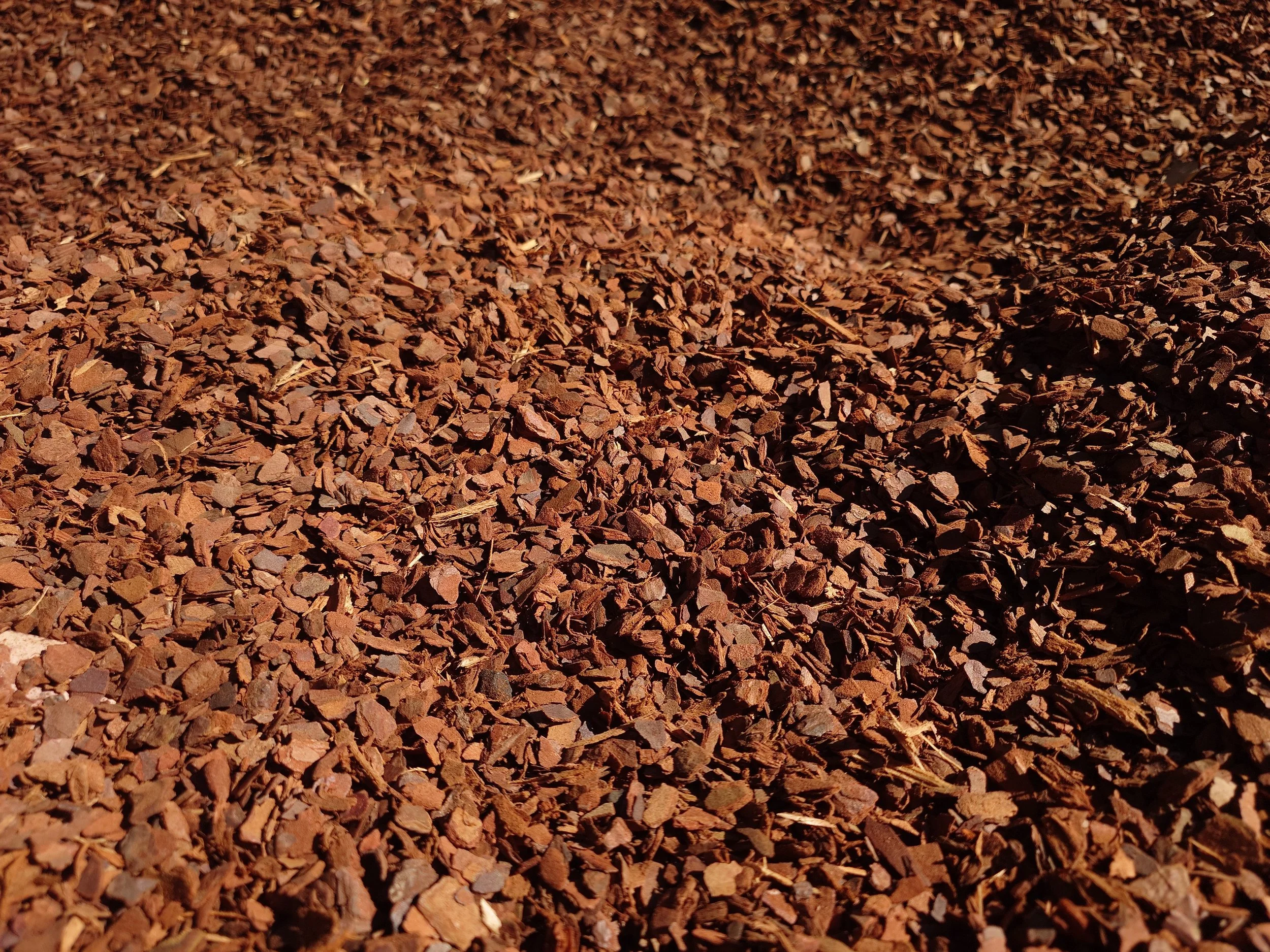 Softfall Chips