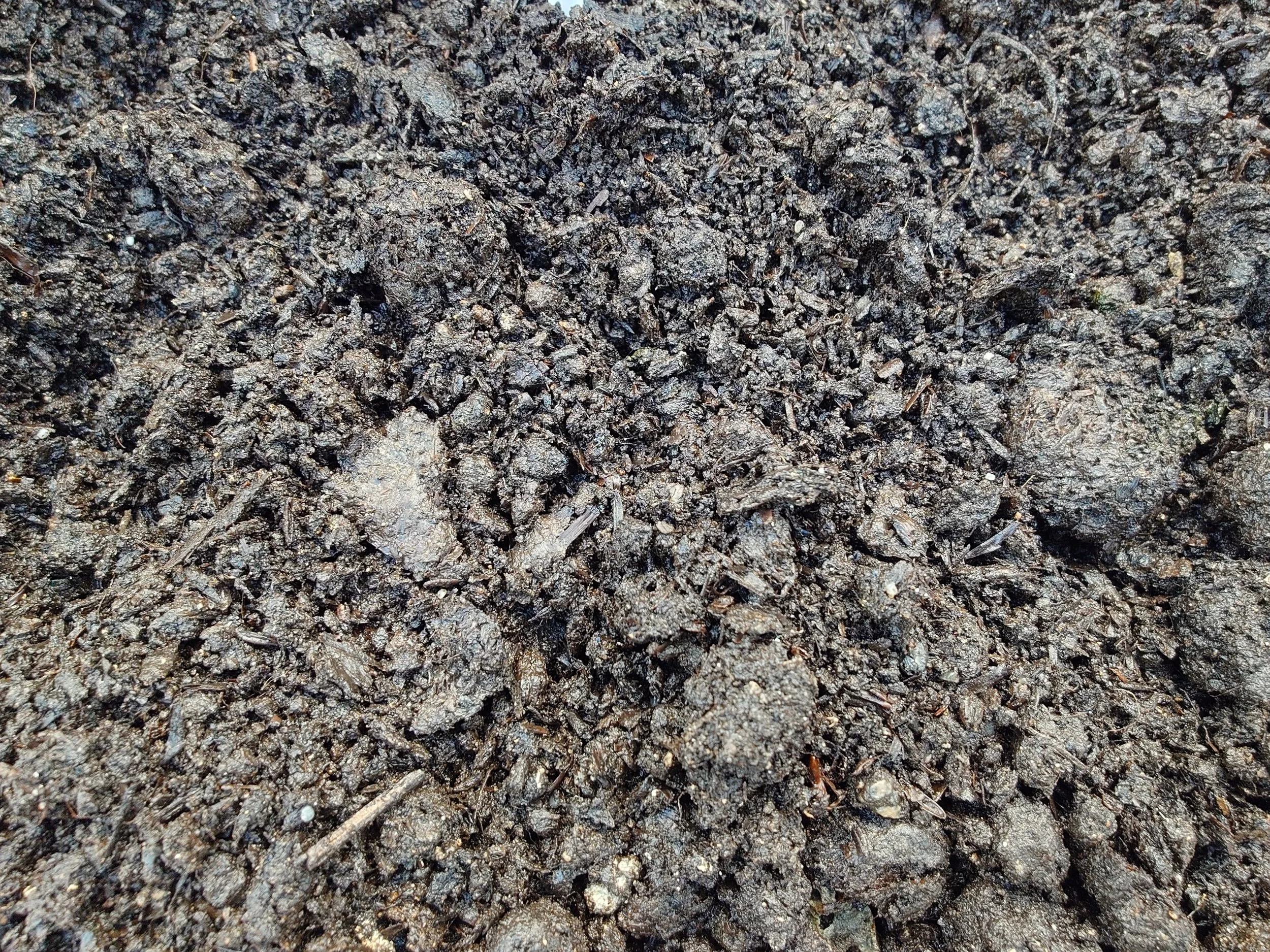 Mushroom Compost