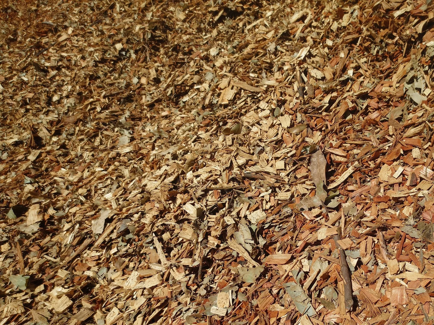 Leaf Mulch