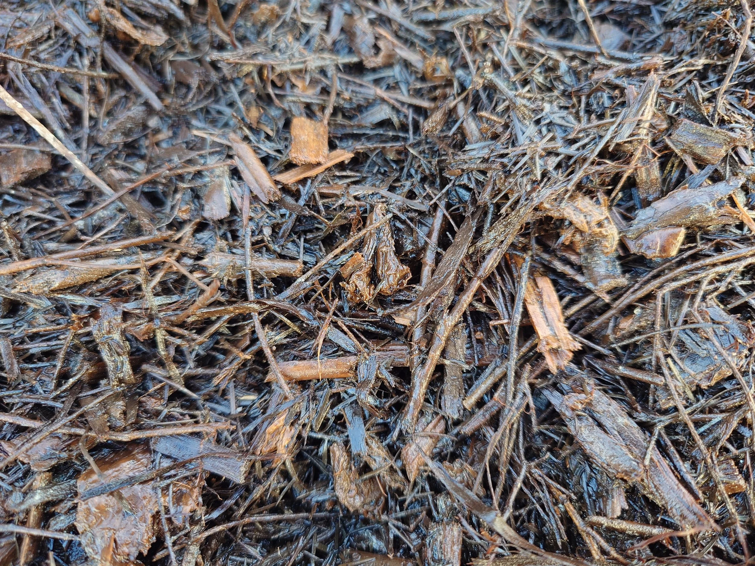 Tea Tree Mulch