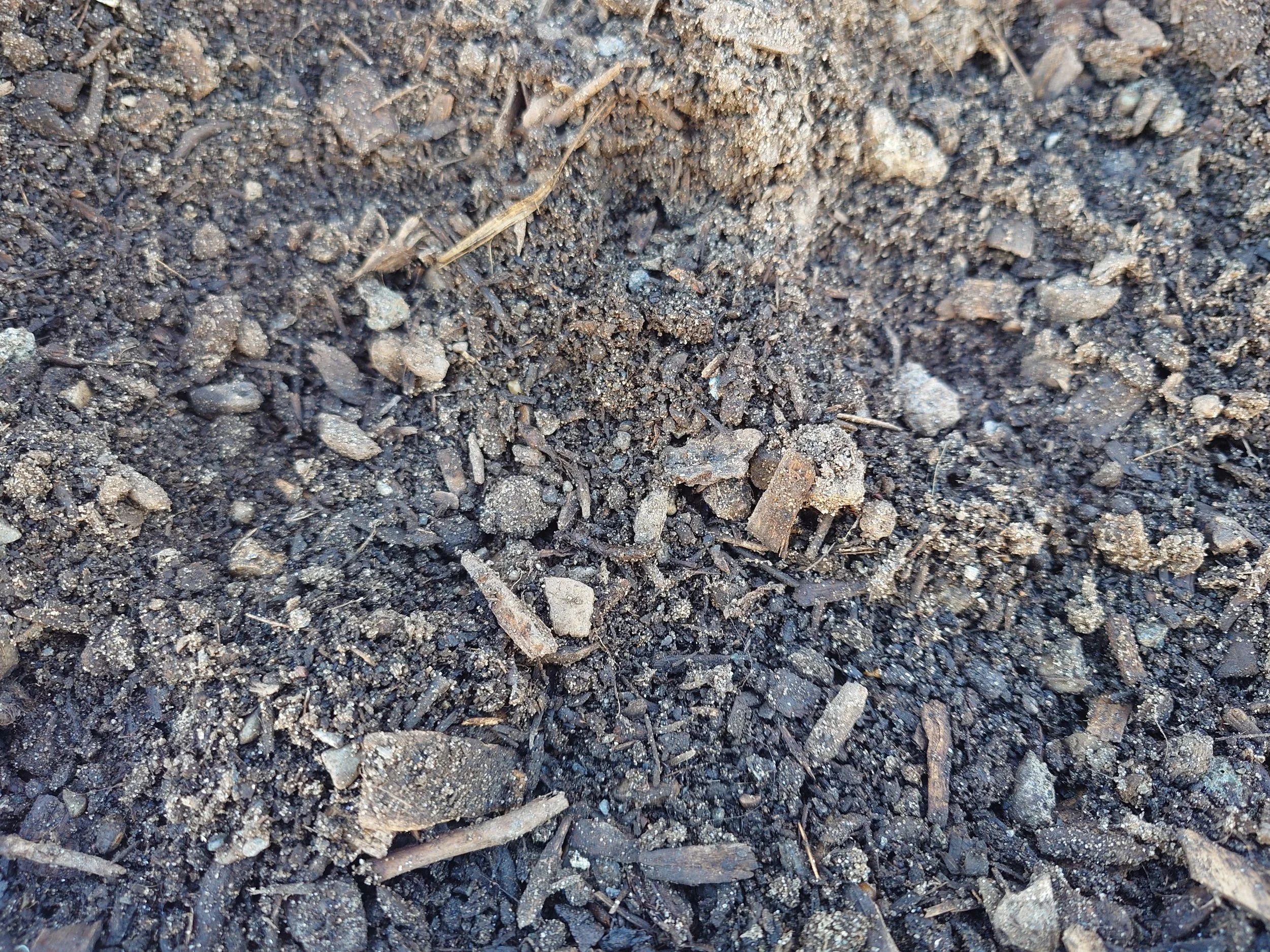 Garden Soil