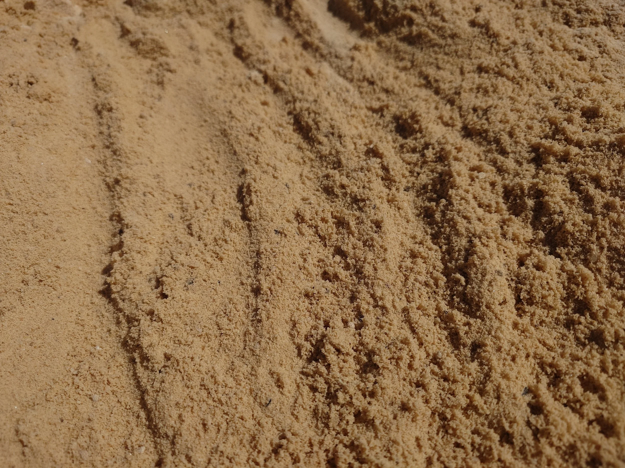 Yellow Sand