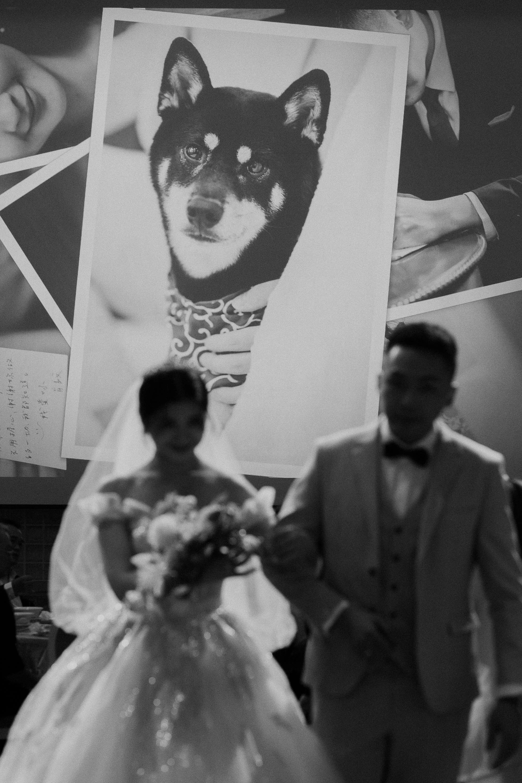 Black and white photo of a wedding couple standing in front of a wall with photos, with a large picture of a dog in the background.
