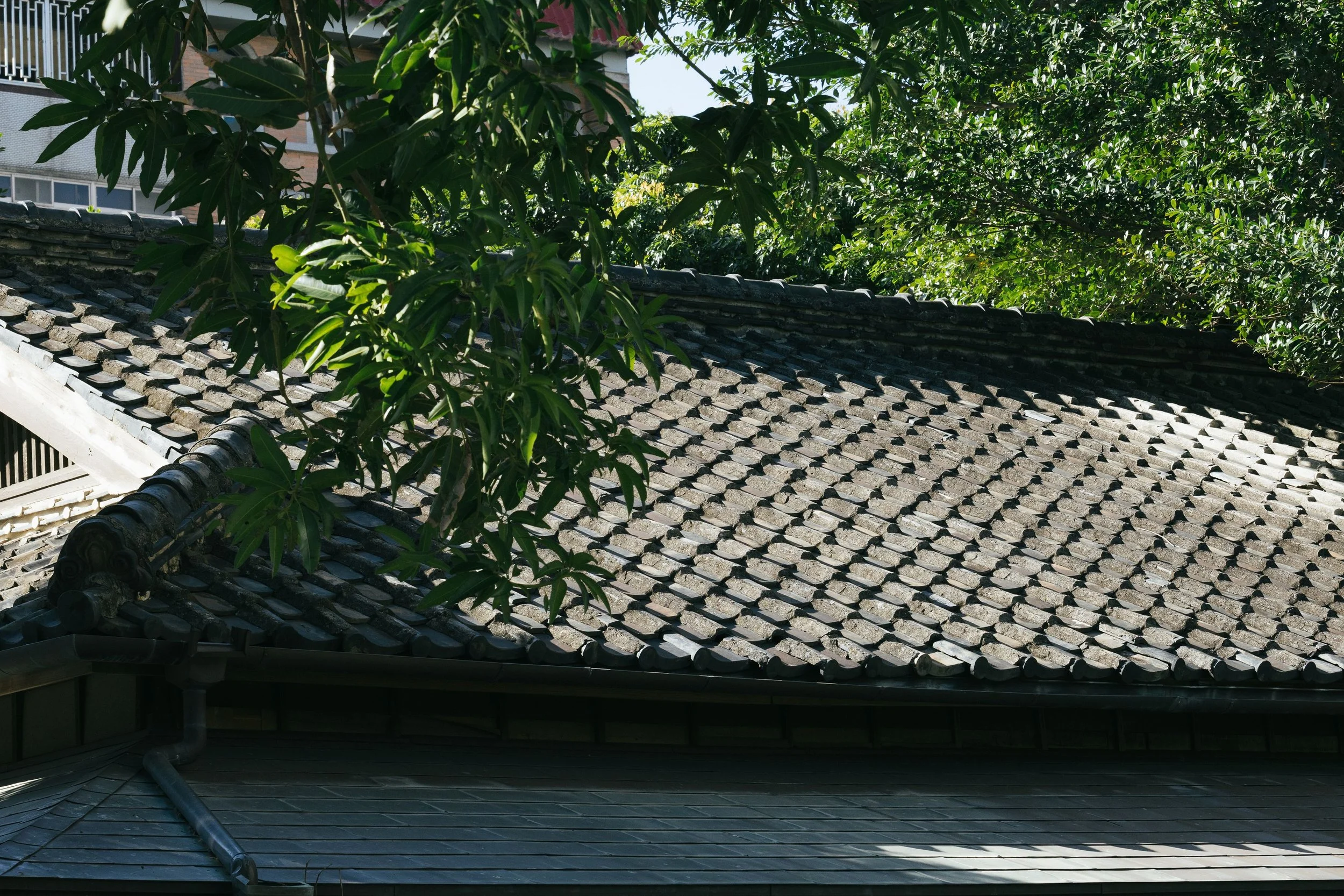 TAIVII餐酒館辛志平 婚禮 內斯特
