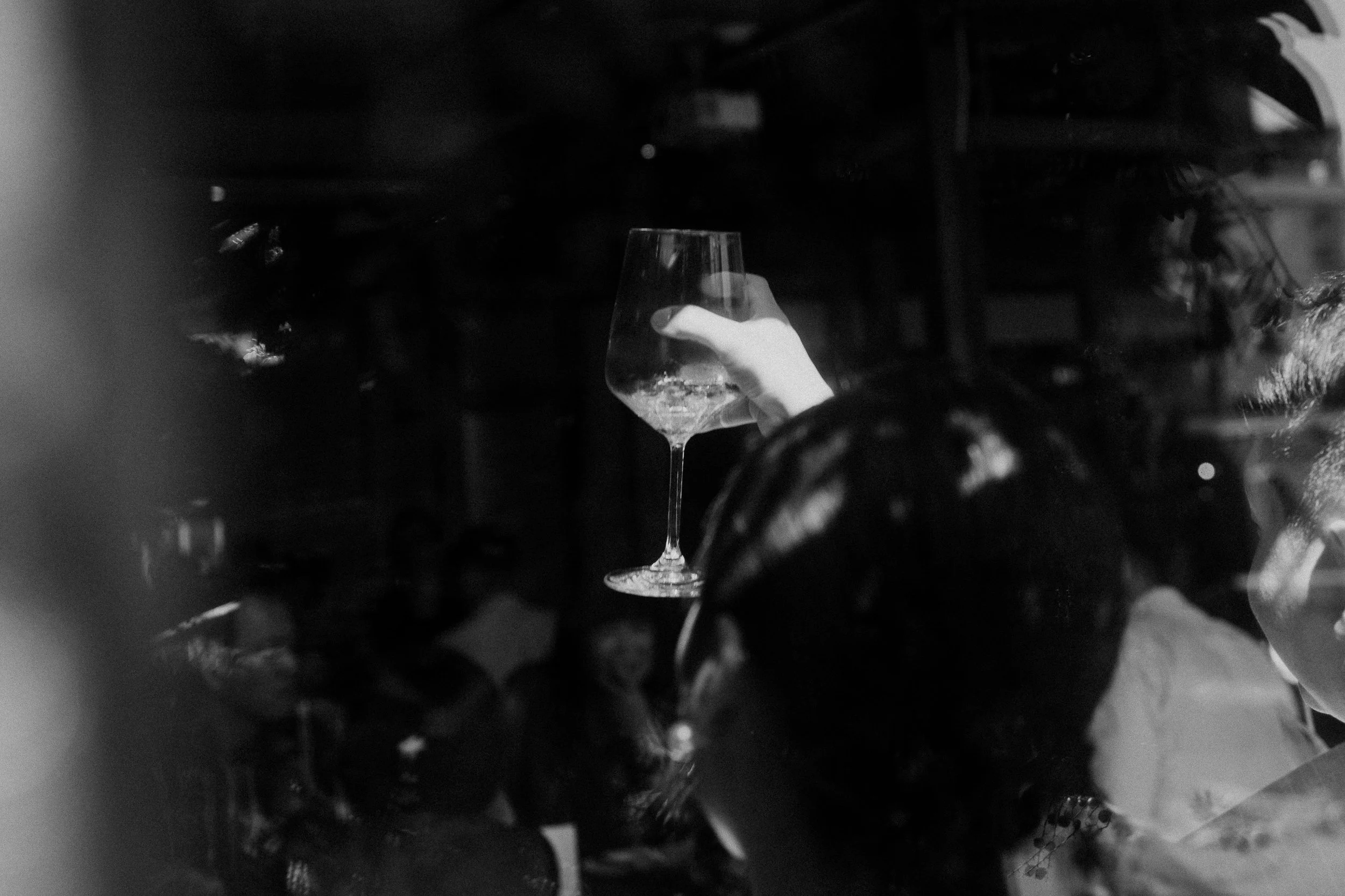 A hand holding a wine glass filled with water, surrounded by dark grapes and leaf foliage in a dimly lit setting.