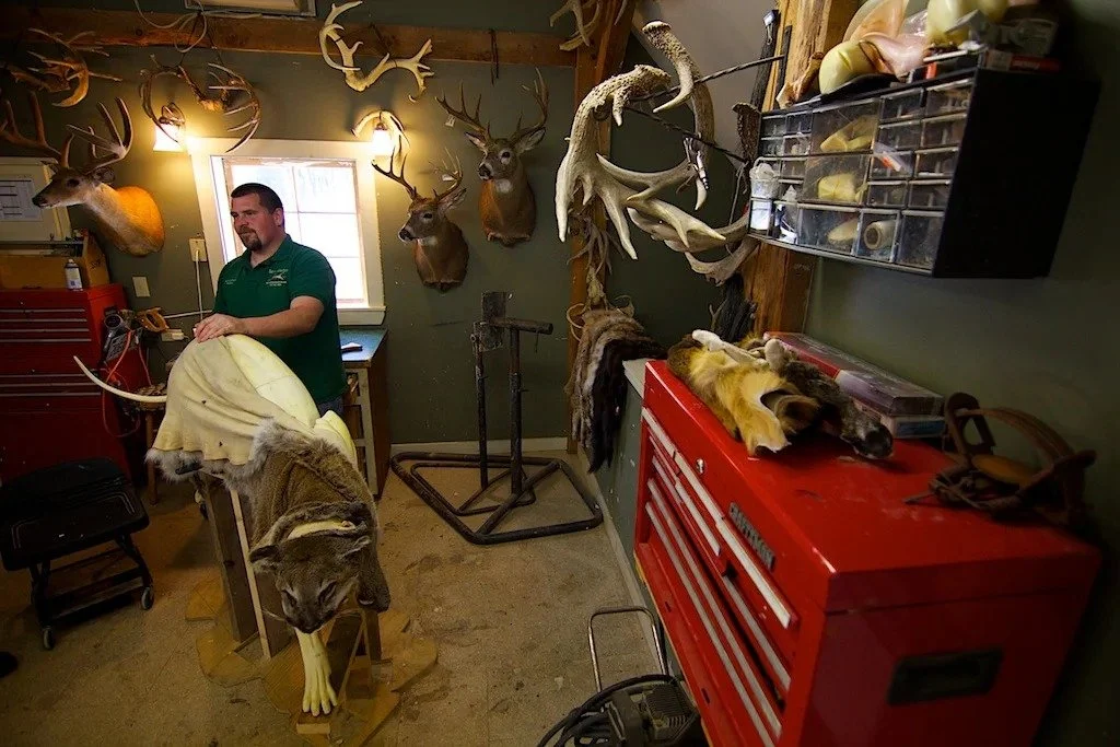 07-the-taxidermist-3.jpg