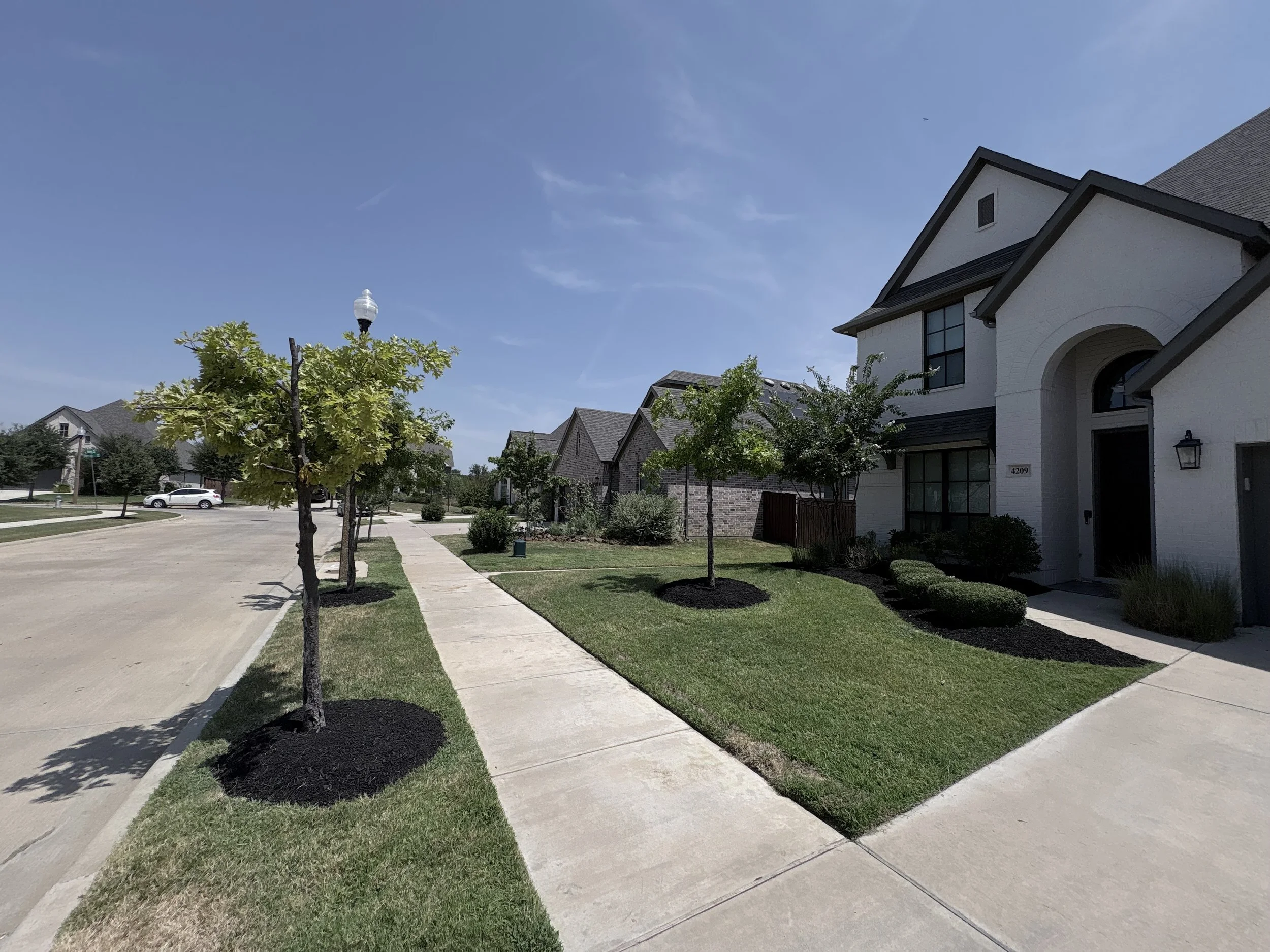 Freshly maintained front lawn, sidewalk edging, and tree ring by LBR Outdoor Services in Denton, Texas.