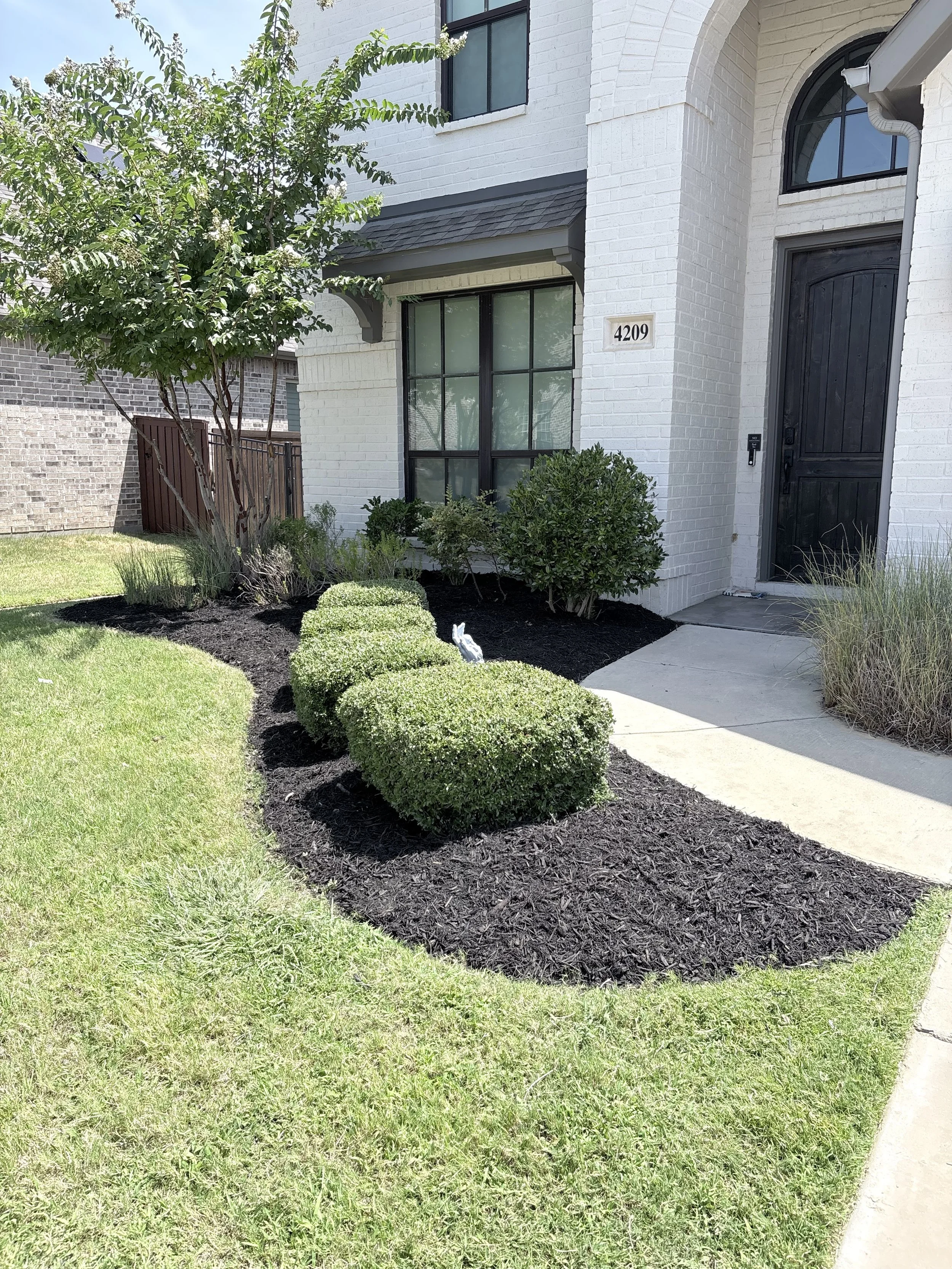 Freshly mulched front landscape bed with trimmed shrubs by LBR Outdoor Services in Denton, Texas.