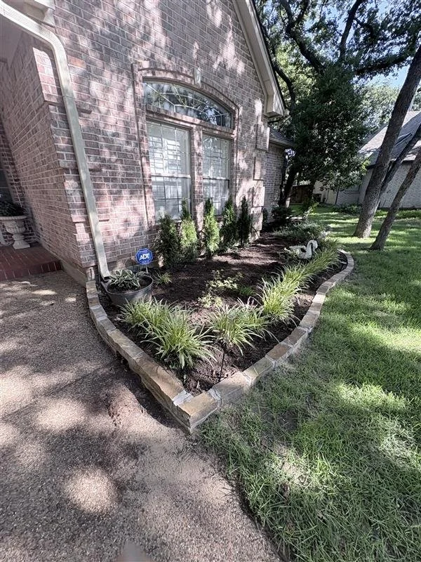 Front yard garden with newly planted shrubs and flowers, bordered by brick edging, next to a brick house with a window, mailbox, and trees providing shade.