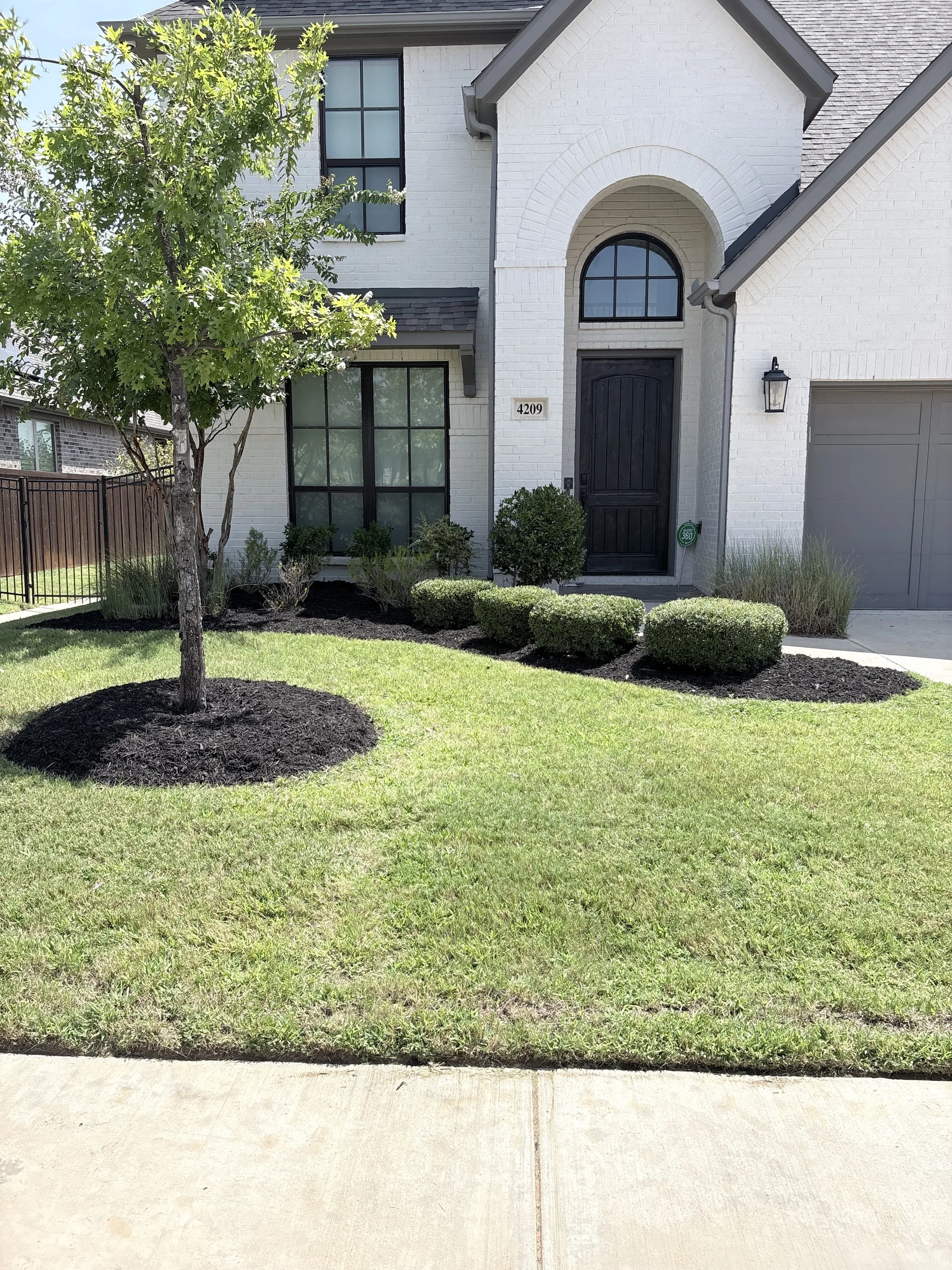 Freshly maintained front lawn and landscaped tree ring by LBR Outdoor Services in Denton, Texas.