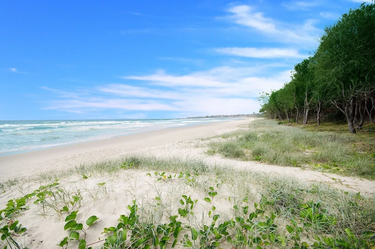 Wide sandy Kingscliff Beach bordered by coastal vegetation on the Tweed Coast opposite Ming 3