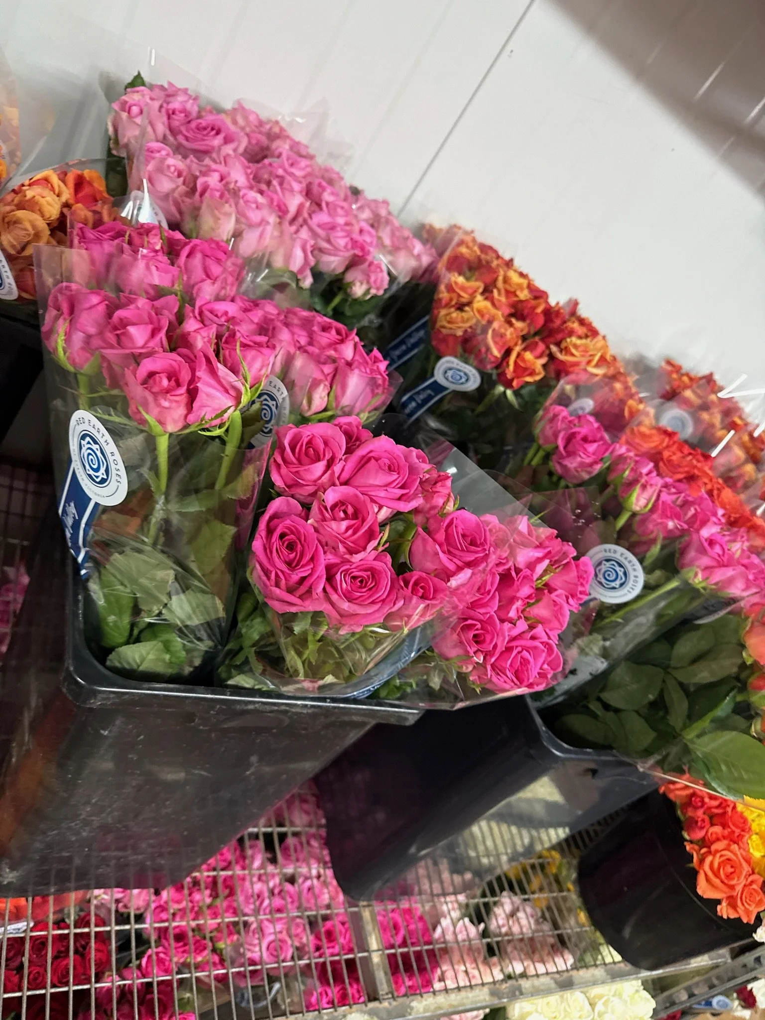 packaged roses for gifts