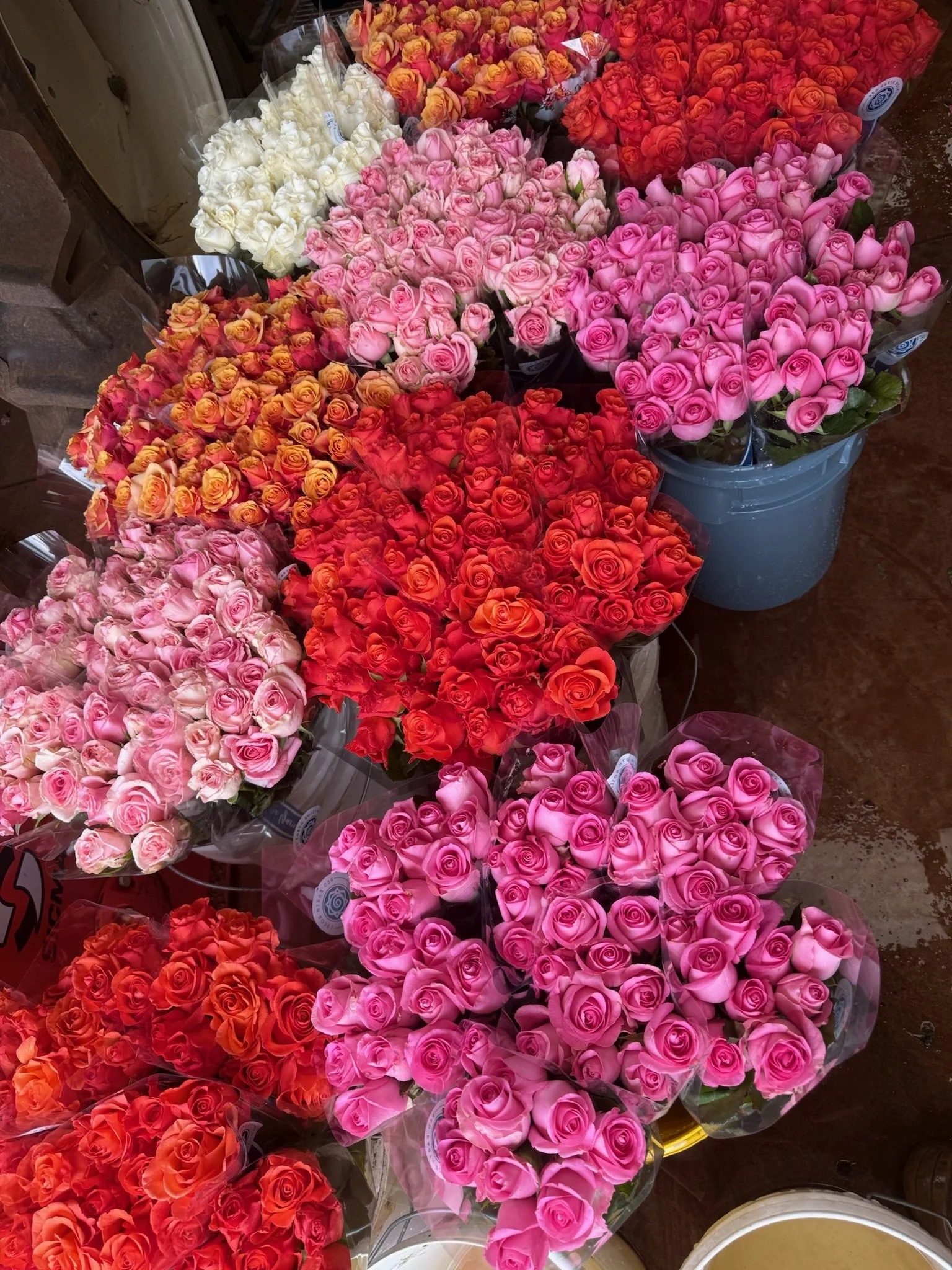 valentines day roses in melbourne