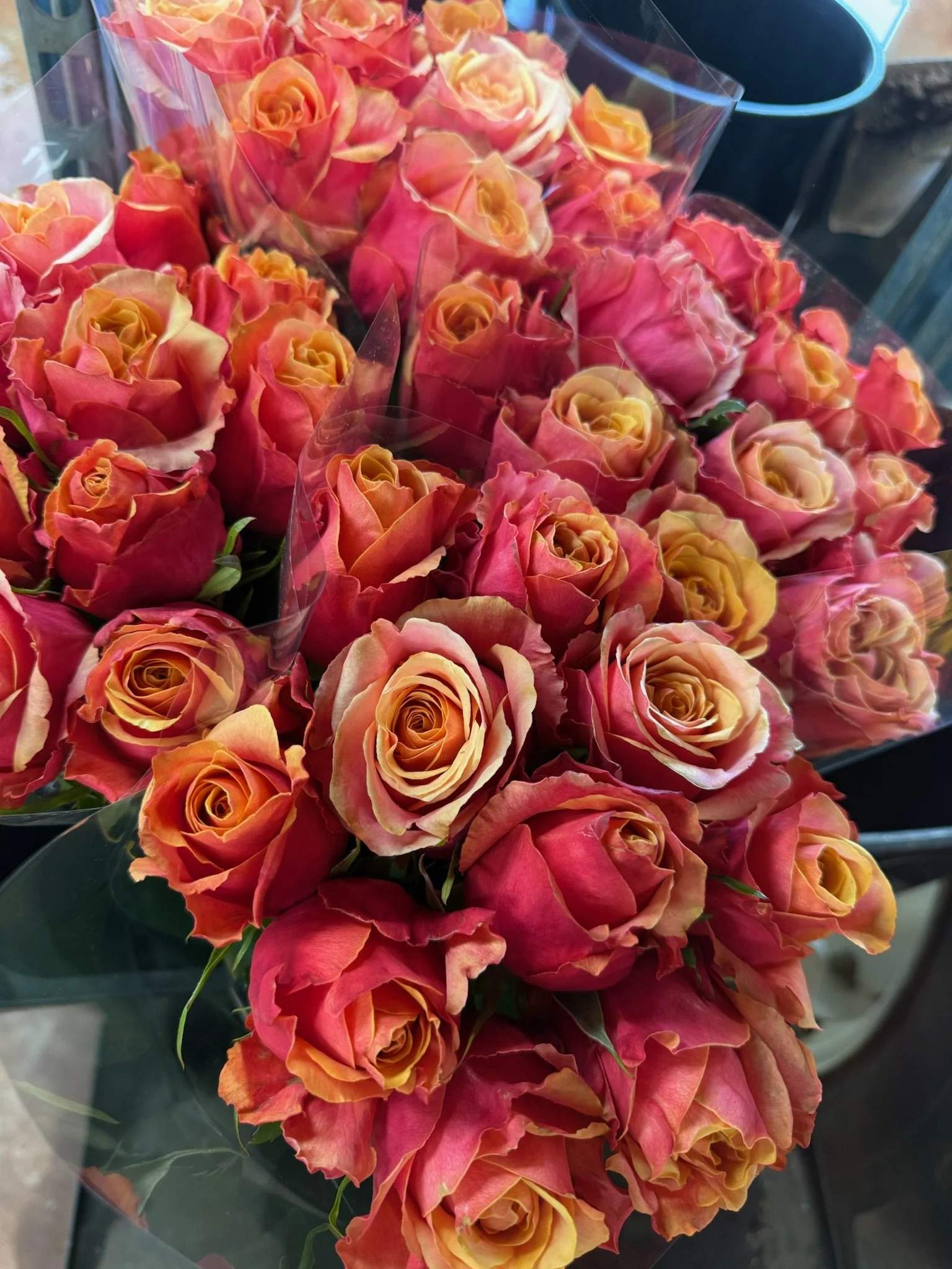Cherry Brandy: Large head. 2-tone pastel orange-yellow, 40- 60 cm