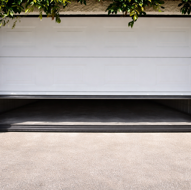 garage door gap with ant trail and water stain